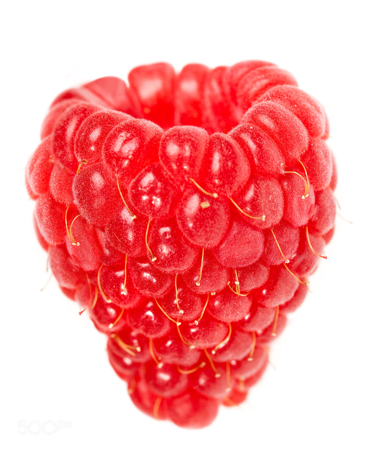 Canon EF 100mm F2.8 Macro USM sample photo. Raspberry photography
