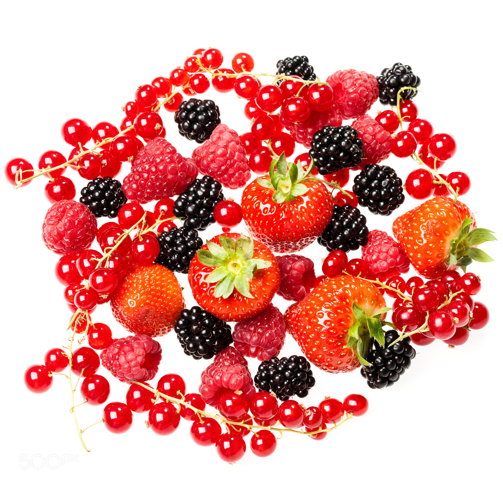 Canon EF 100mm F2.8 Macro USM sample photo. Berrys photography
