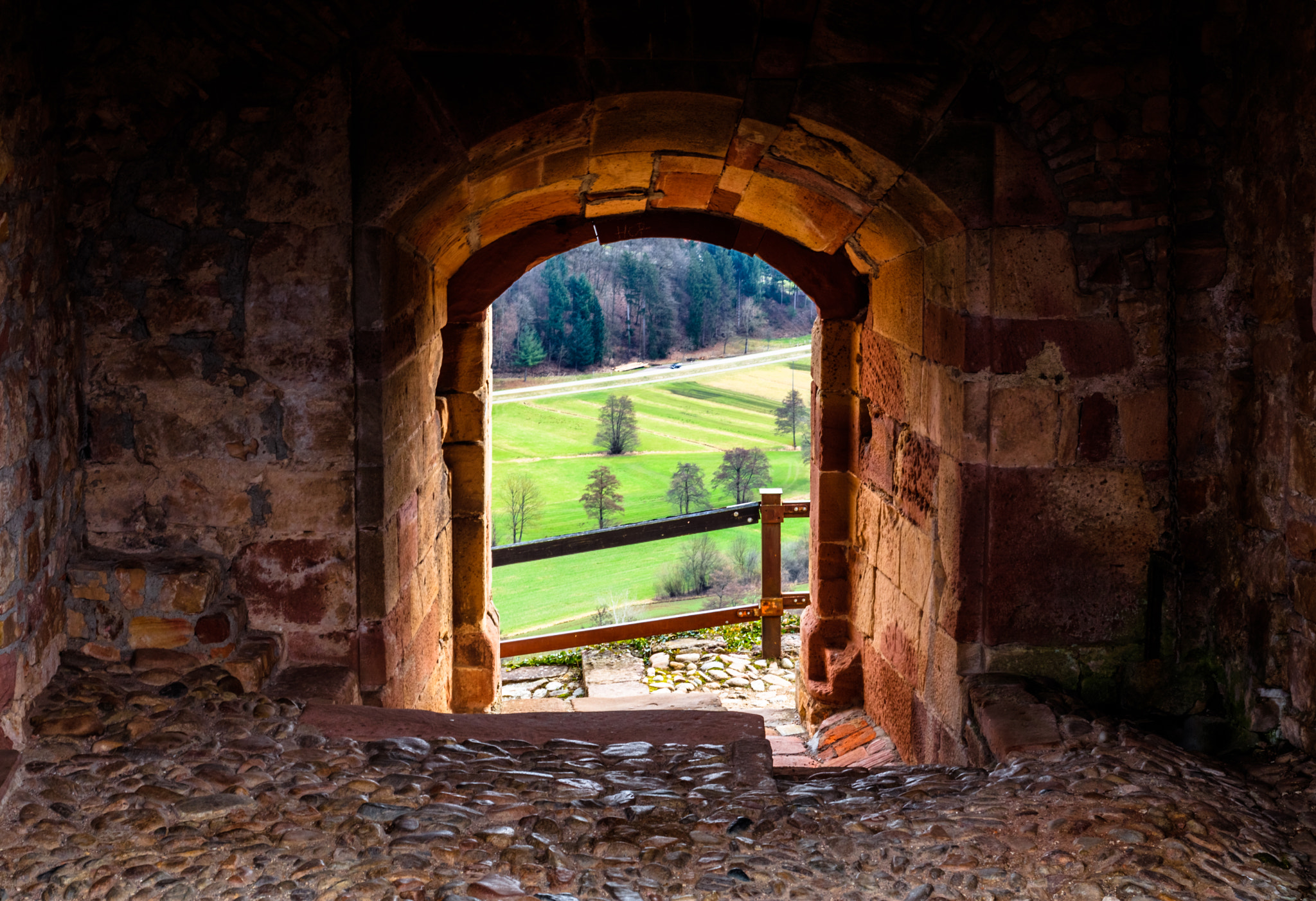 Canon EOS 80D + Canon EF 17-40mm F4L USM sample photo. Reading the field photography