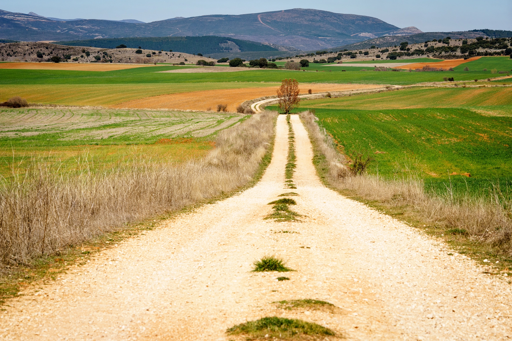 Sony a7 II sample photo. Campos de la alcarria photography