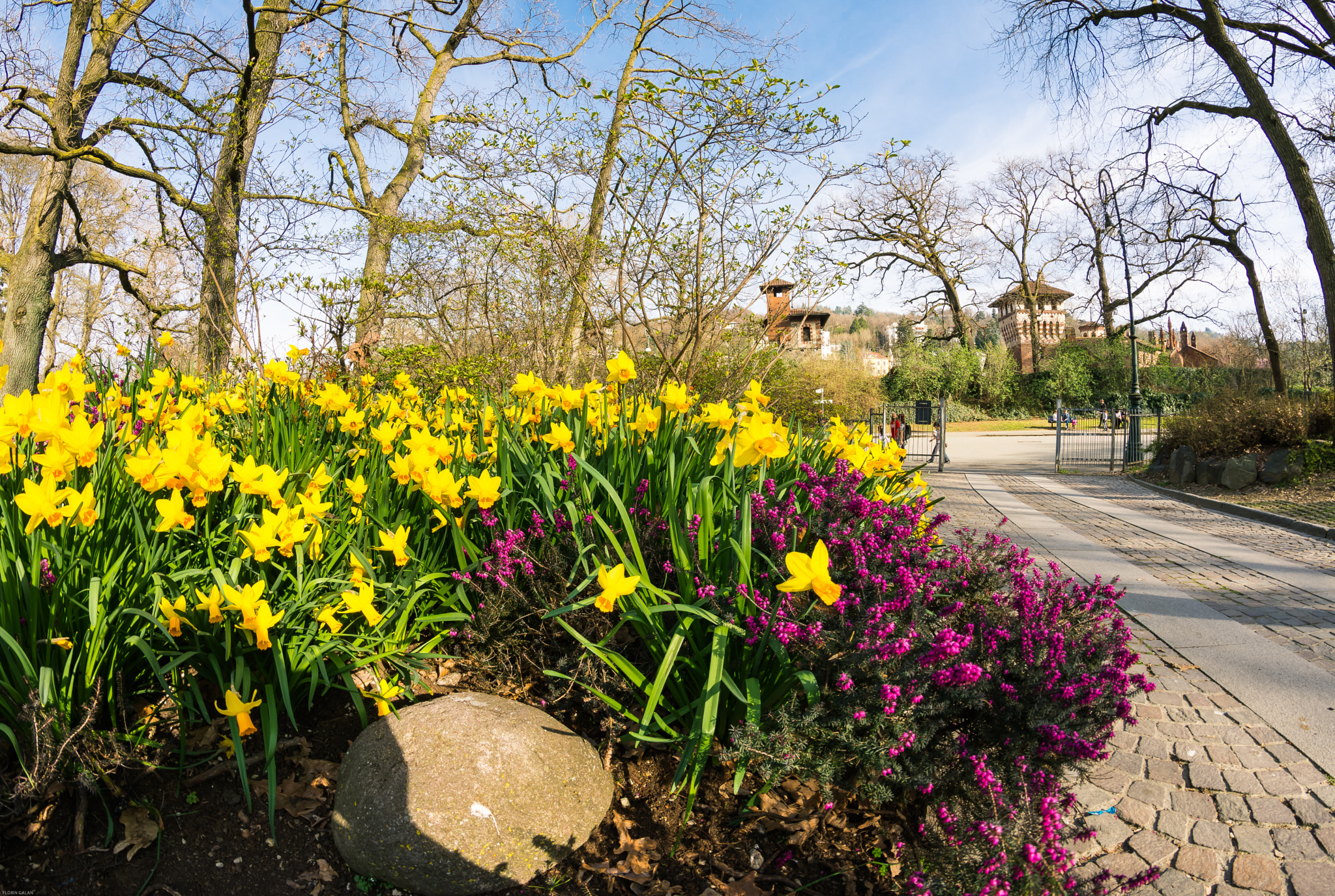 Samyang 8mm F3.5 Aspherical IF MC Fisheye sample photo. Just spring... photography