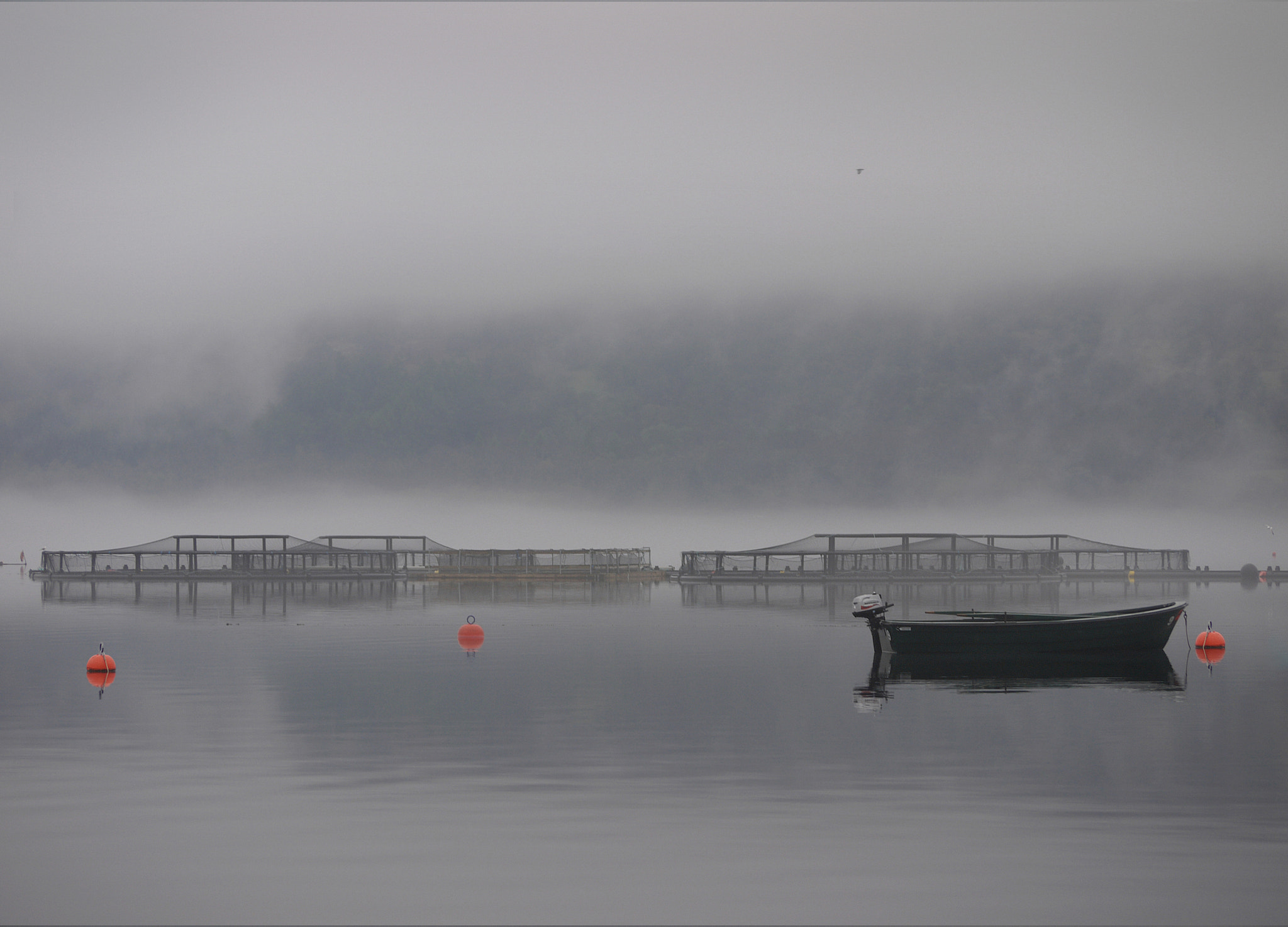 Panasonic Lumix G Vario 14-45mm F3.5-5.6 ASPH OIS sample photo. Loch earn photography