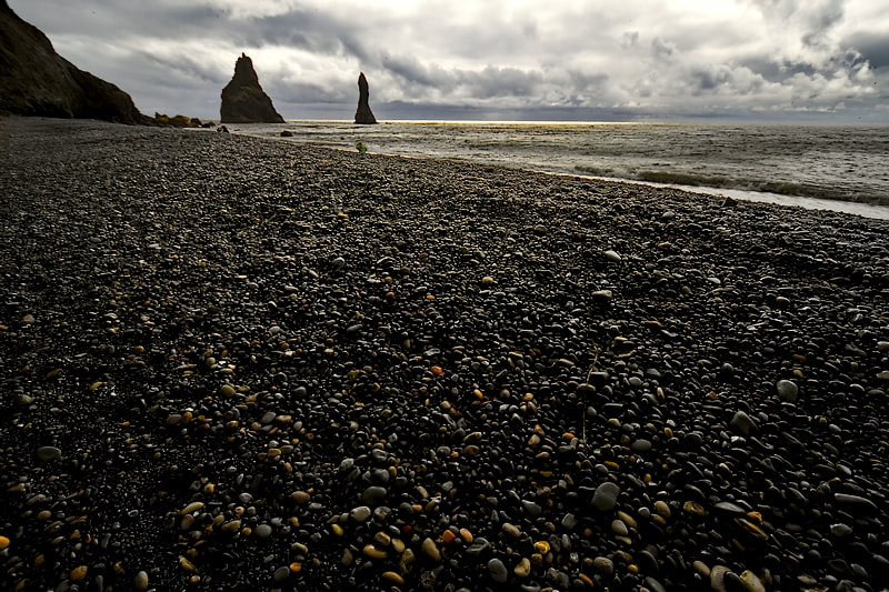 Nikon D7200 sample photo. 29796563183.jpg photography
