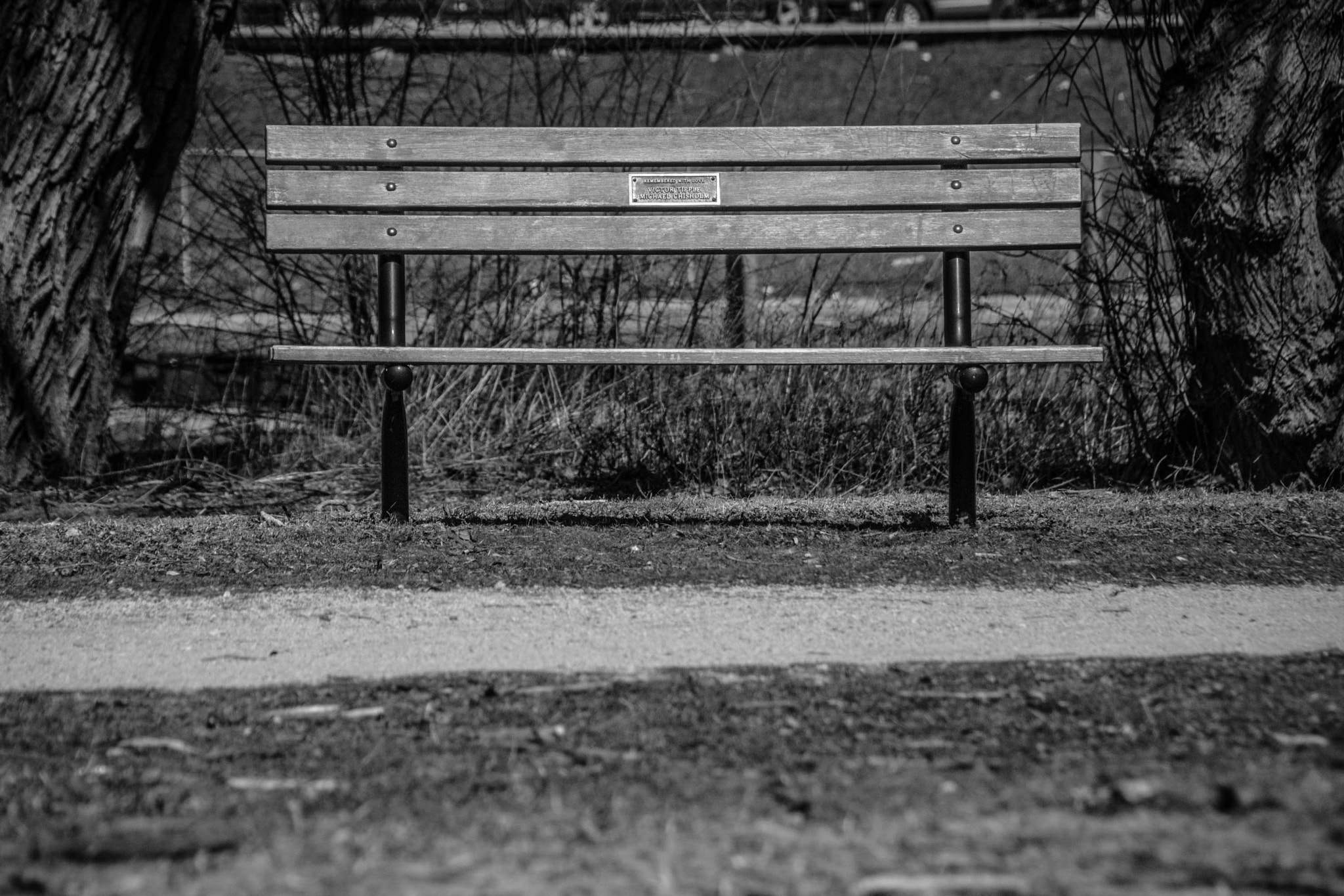 Sigma 18-250mm F3.5-6.3 DC Macro OS HSM sample photo. Come sit a spell photography