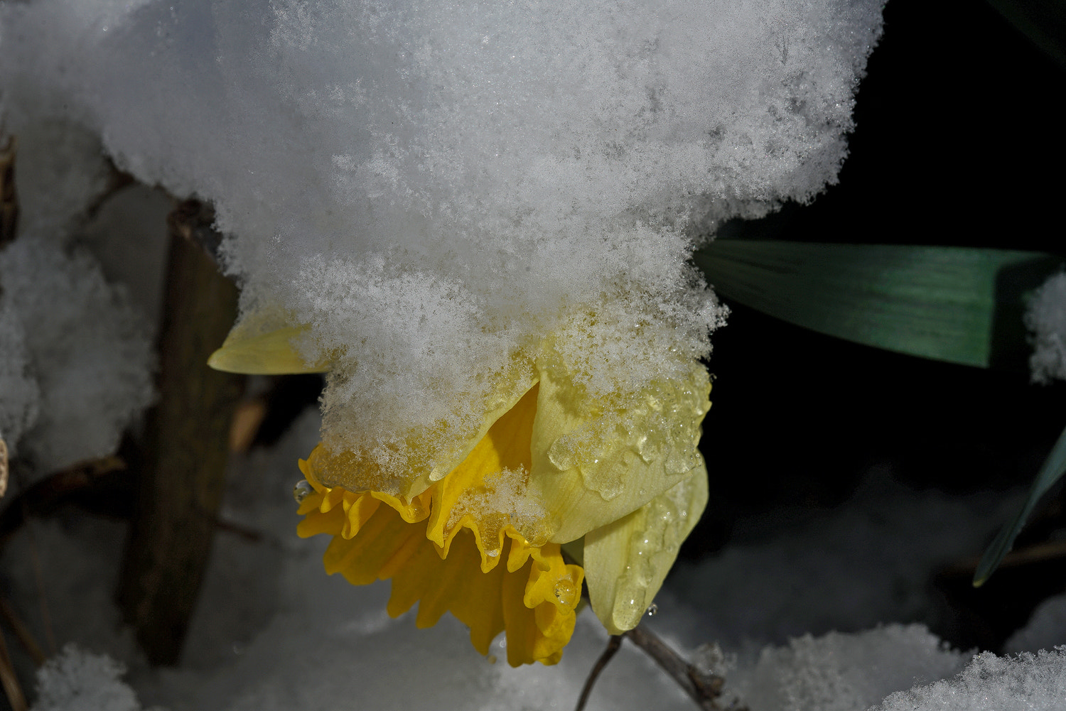 Sony a7R II + 100mm F2.8 SSM sample photo. Snow capped photography