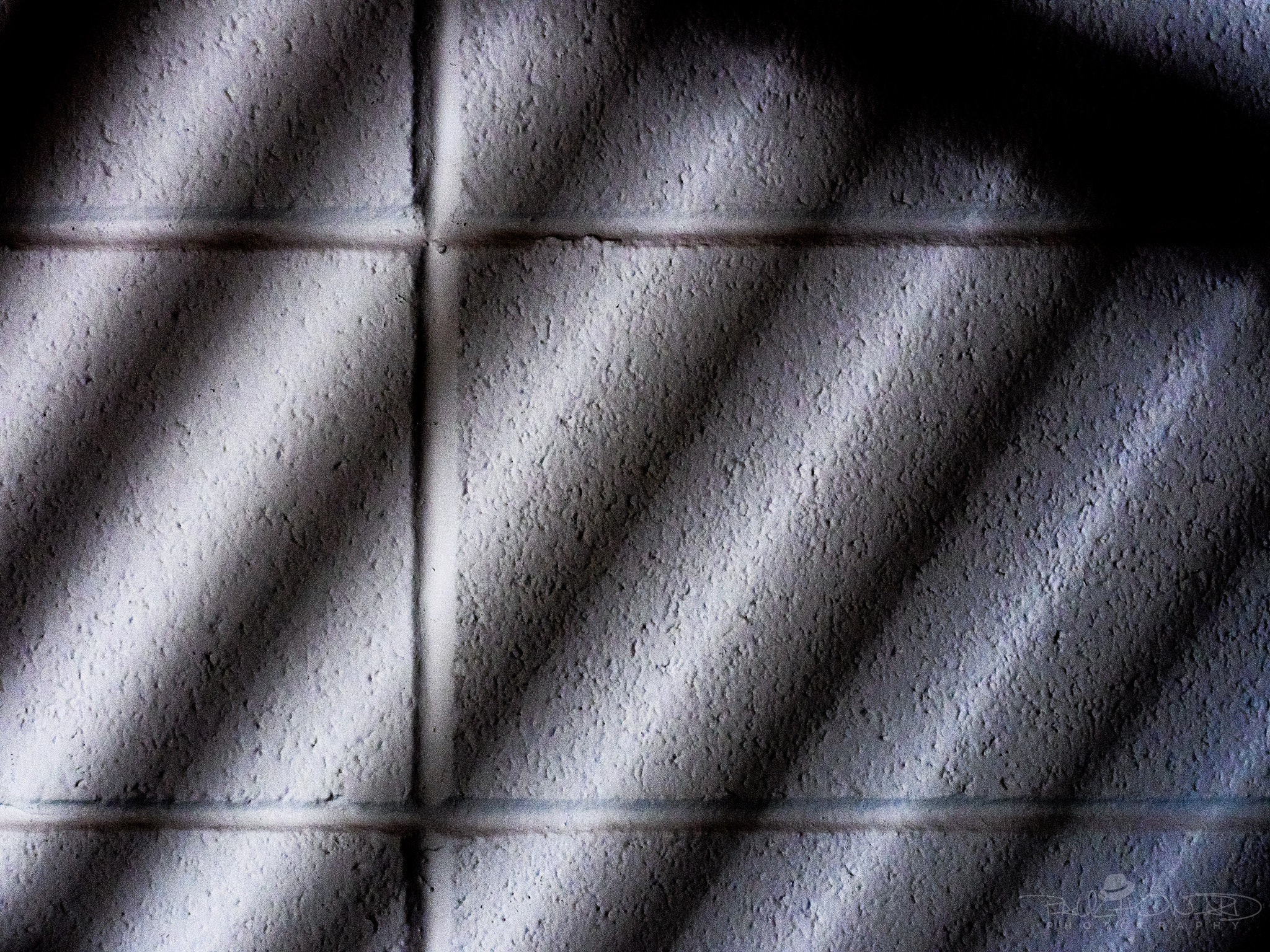 Panasonic Lumix G X Vario 35-100mm F2.8 OIS sample photo. Day 76: i'm just a shadow of my former self photography