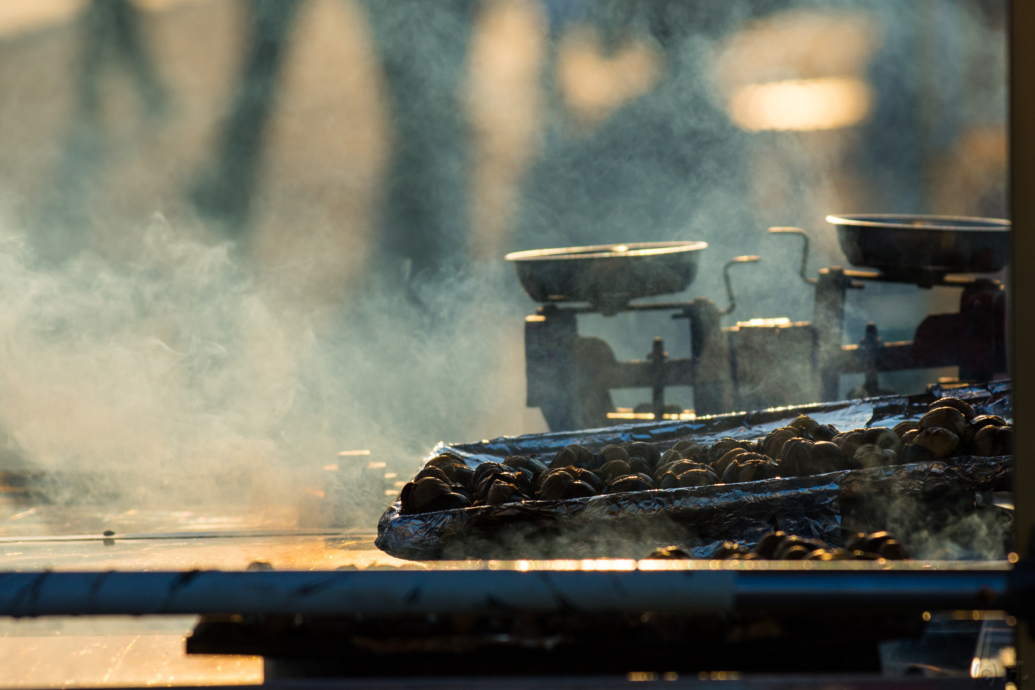 Nikon AF-S Nikkor 70-200mm F4G ED VR sample photo. Roasting chestnuts in istanbul photography