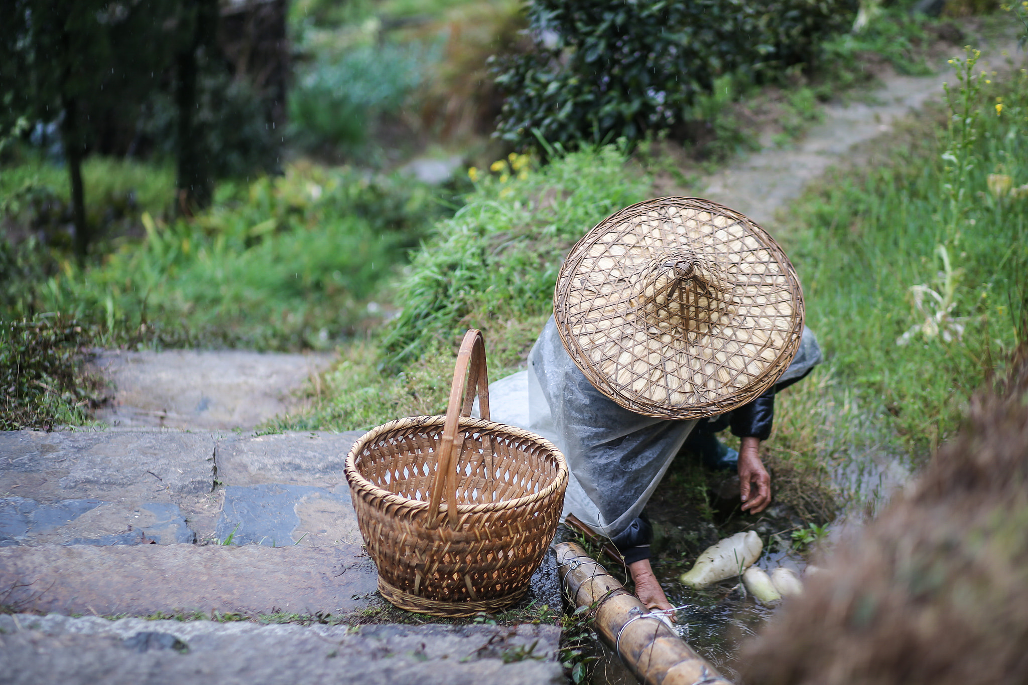 Canon EF 85mm F1.8 USM sample photo