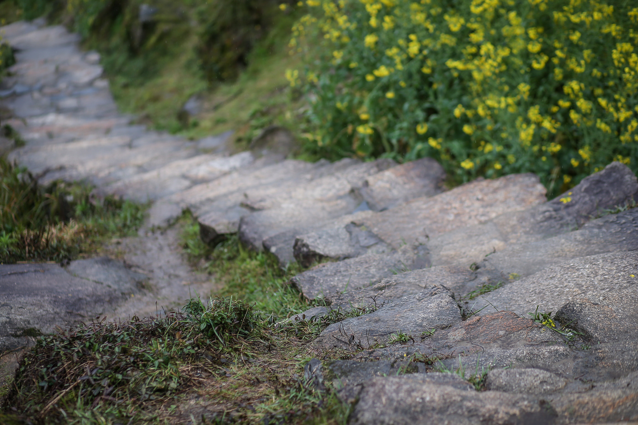 Canon EF 85mm F1.8 USM sample photo