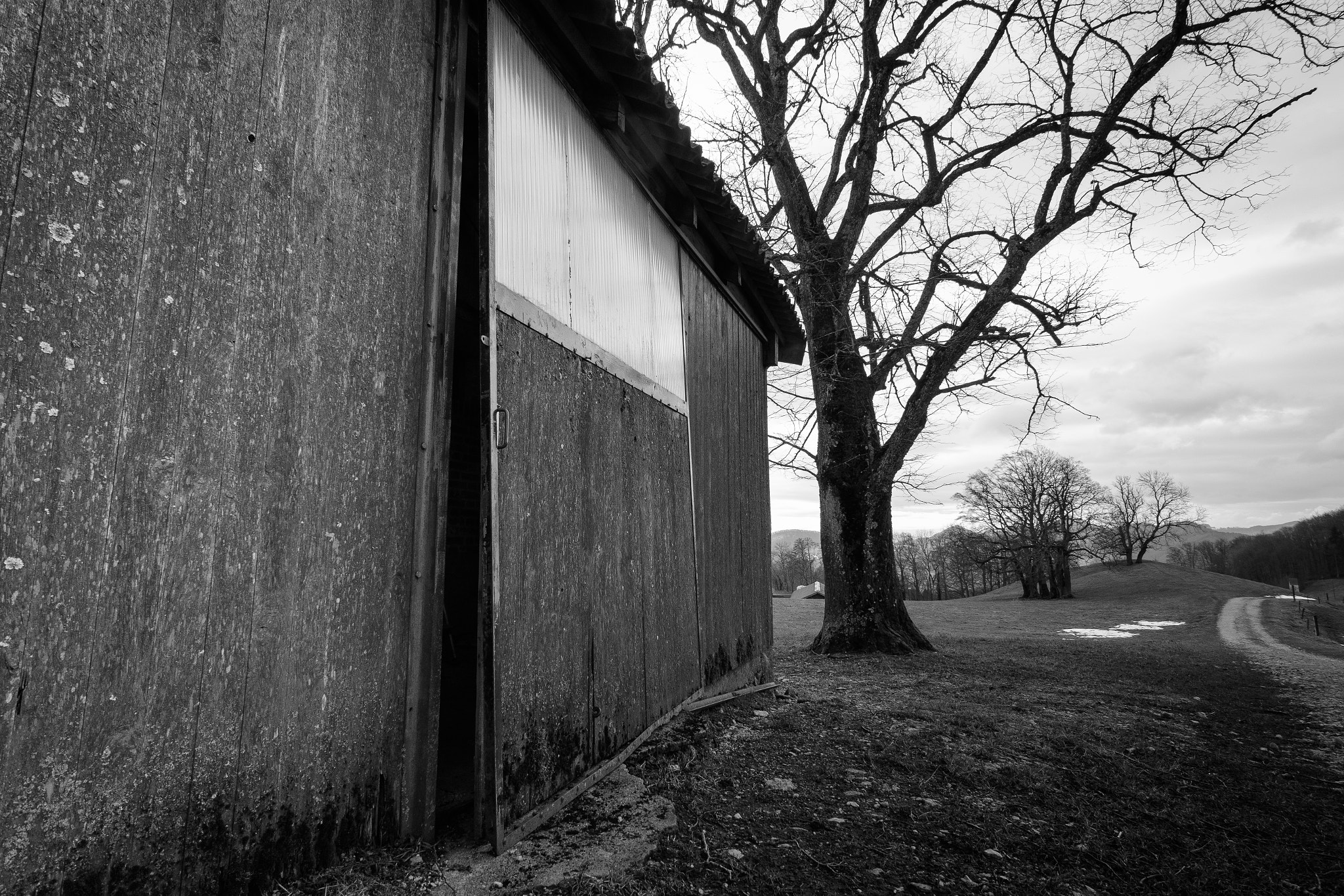 Nikon D7200 sample photo. Shack photography