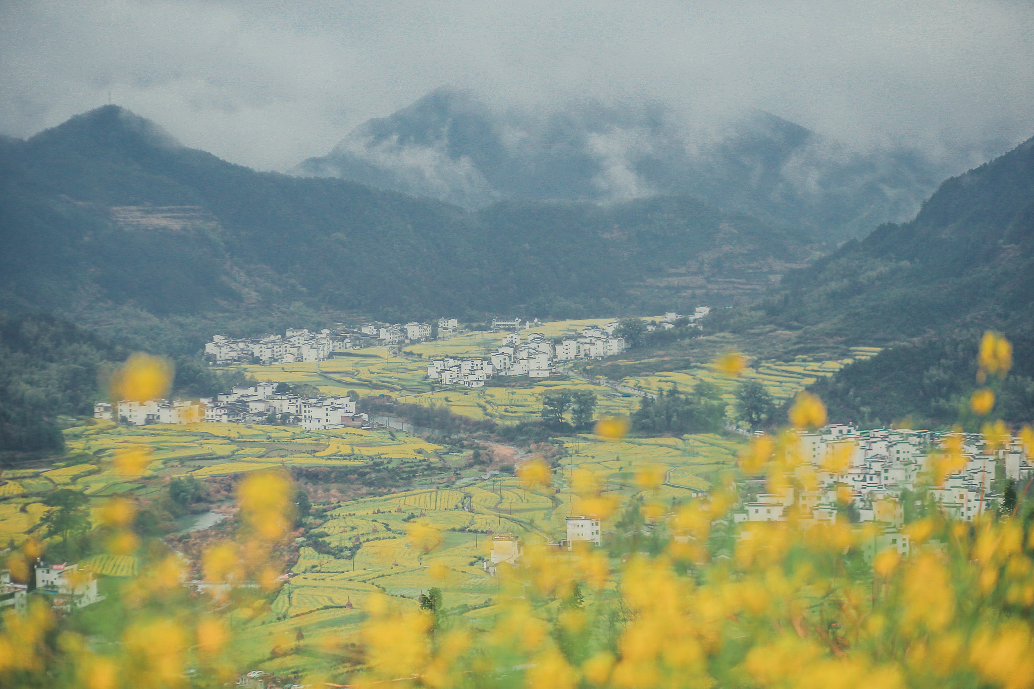 Canon EF 85mm F1.8 USM sample photo