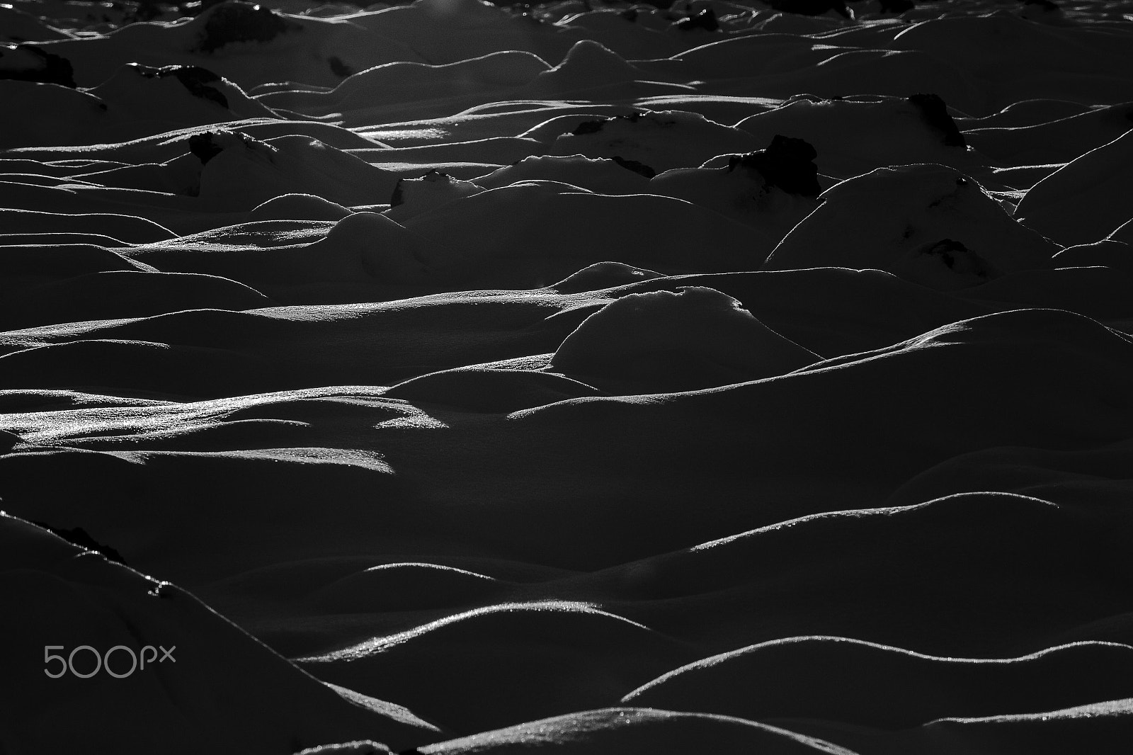 150-600mm F5-6.3 DG OS HSM | Contemporary 015 sample photo. Light waves photography