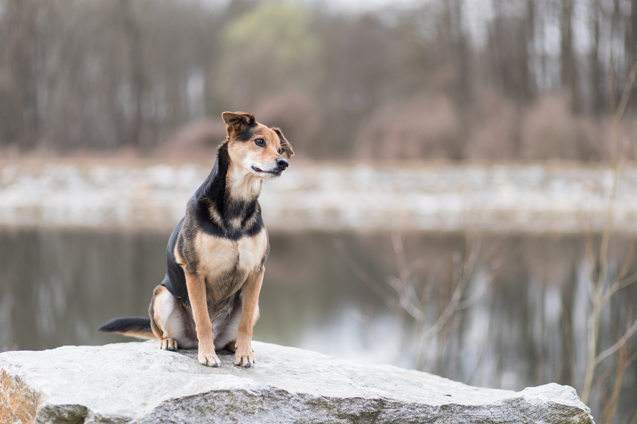 Canon EF 85mm F1.8 USM sample photo. Jason photography