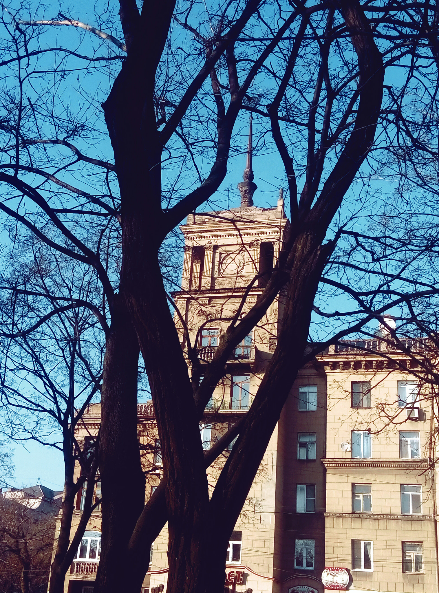 Meizu m2 sample photo
