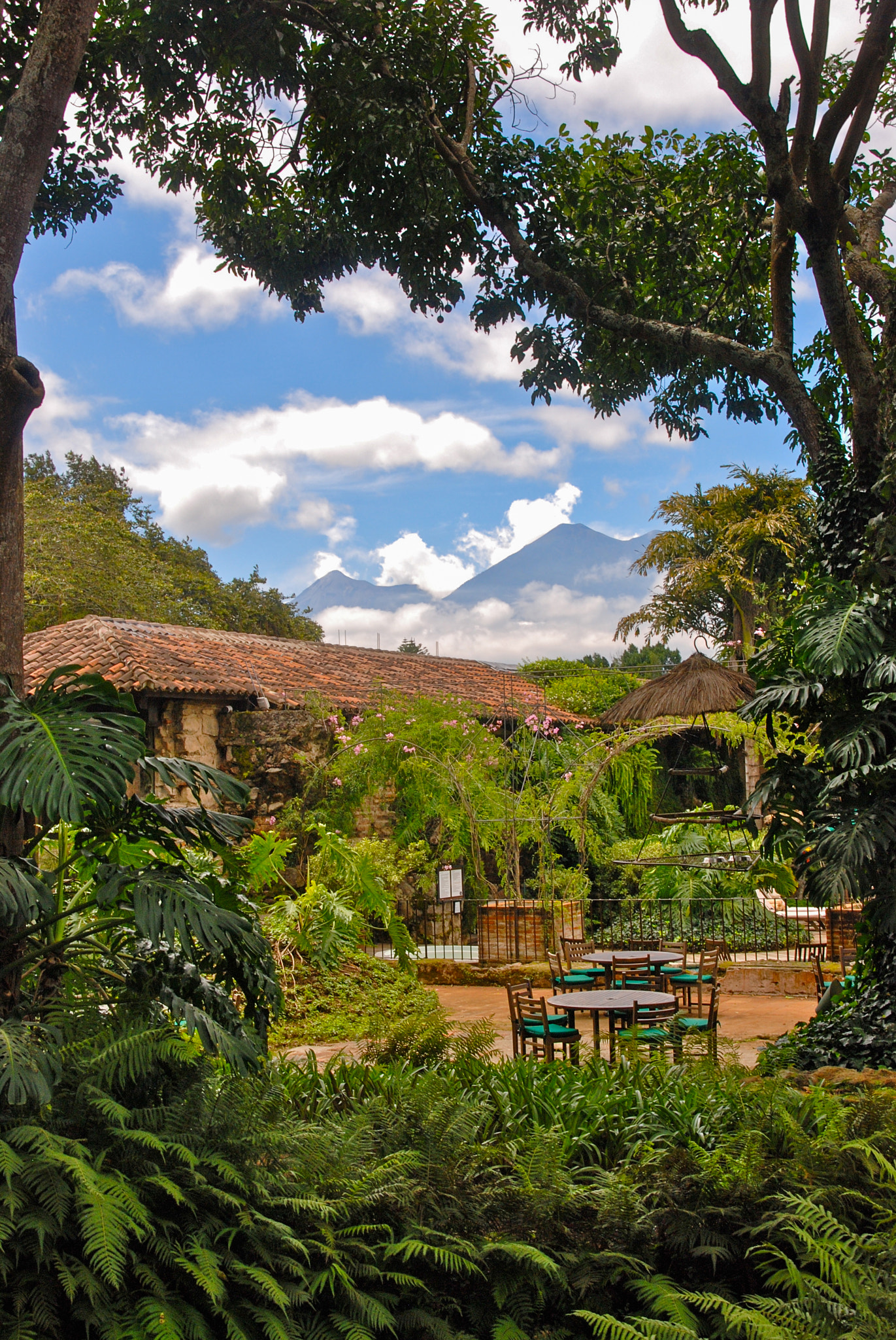 Nikon D80 sample photo. Jungle patio photography