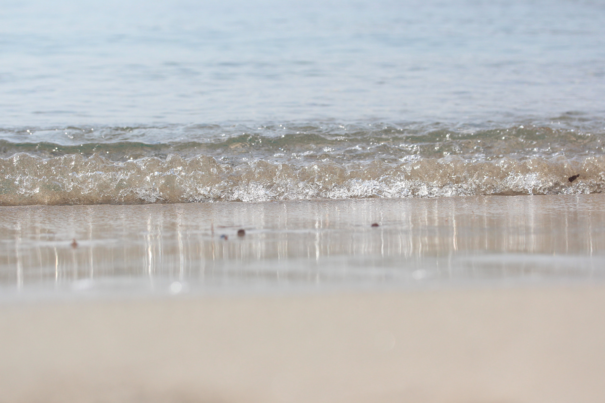 Canon EF-S 60mm F2.8 Macro USM sample photo. Img photography