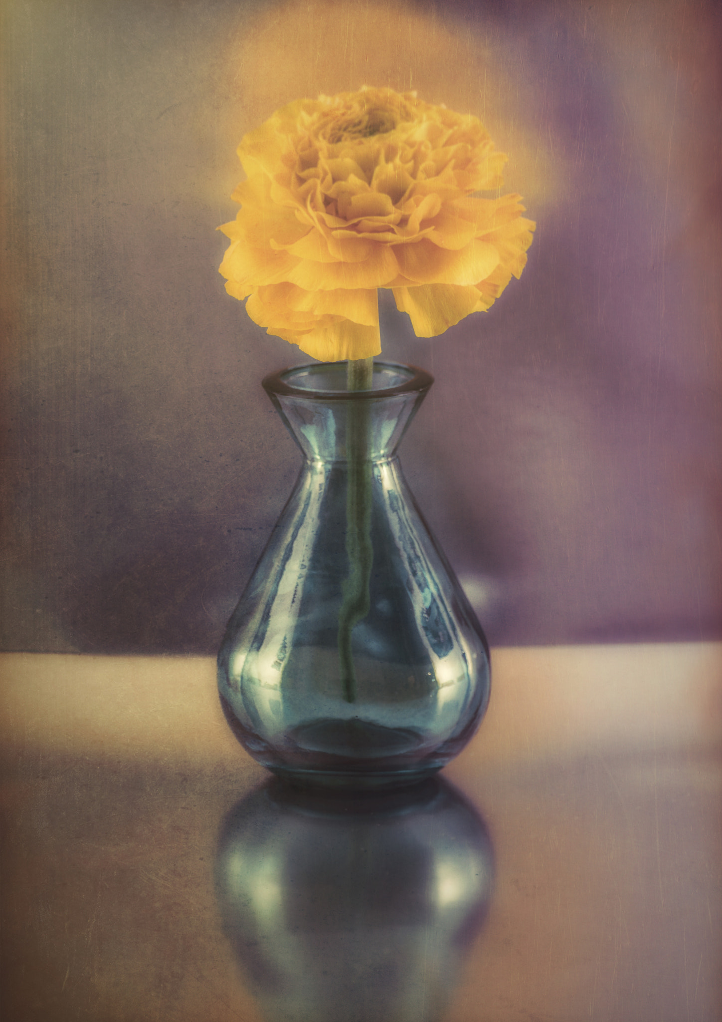 Nikon D810 sample photo. Ranunculus photography