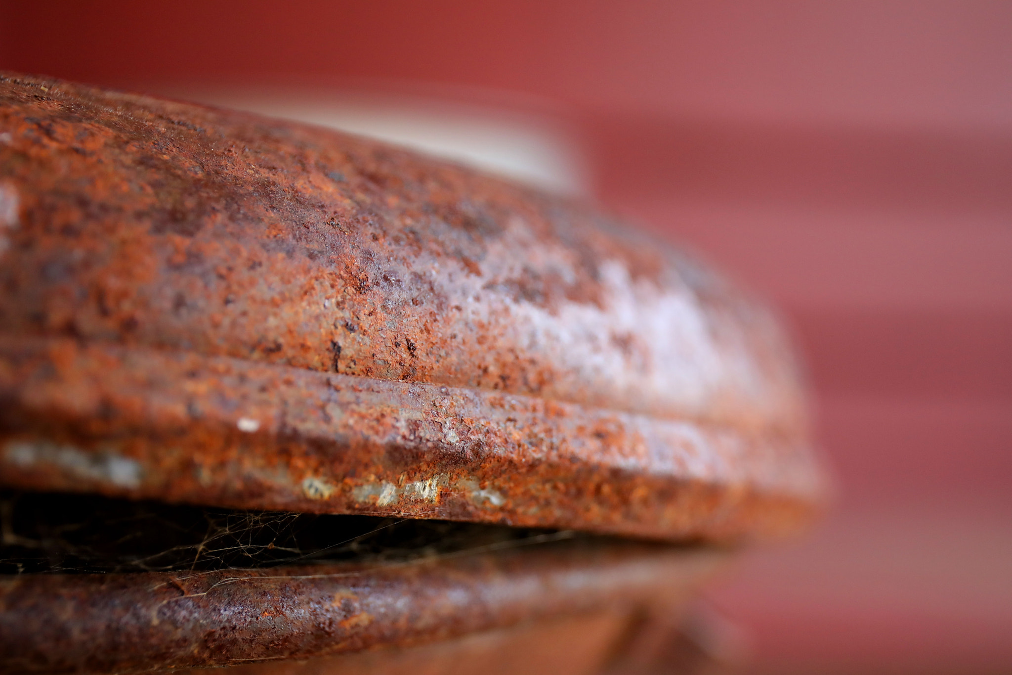 Canon EF 24-70mm F4L IS USM sample photo. Fullsizeoutput c photography