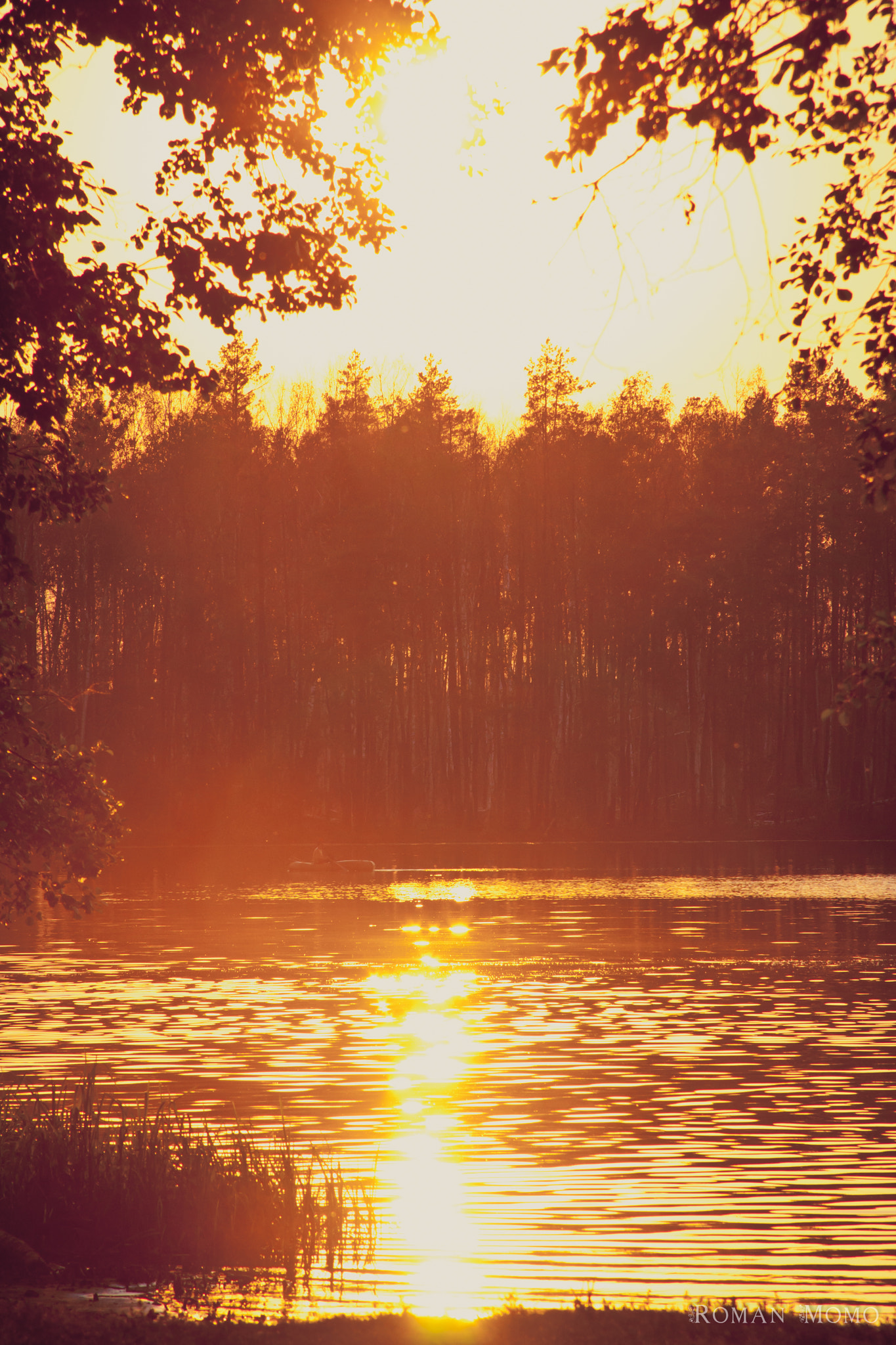 Canon EF 28-135mm F3.5-5.6 IS USM sample photo. Gold sun photography