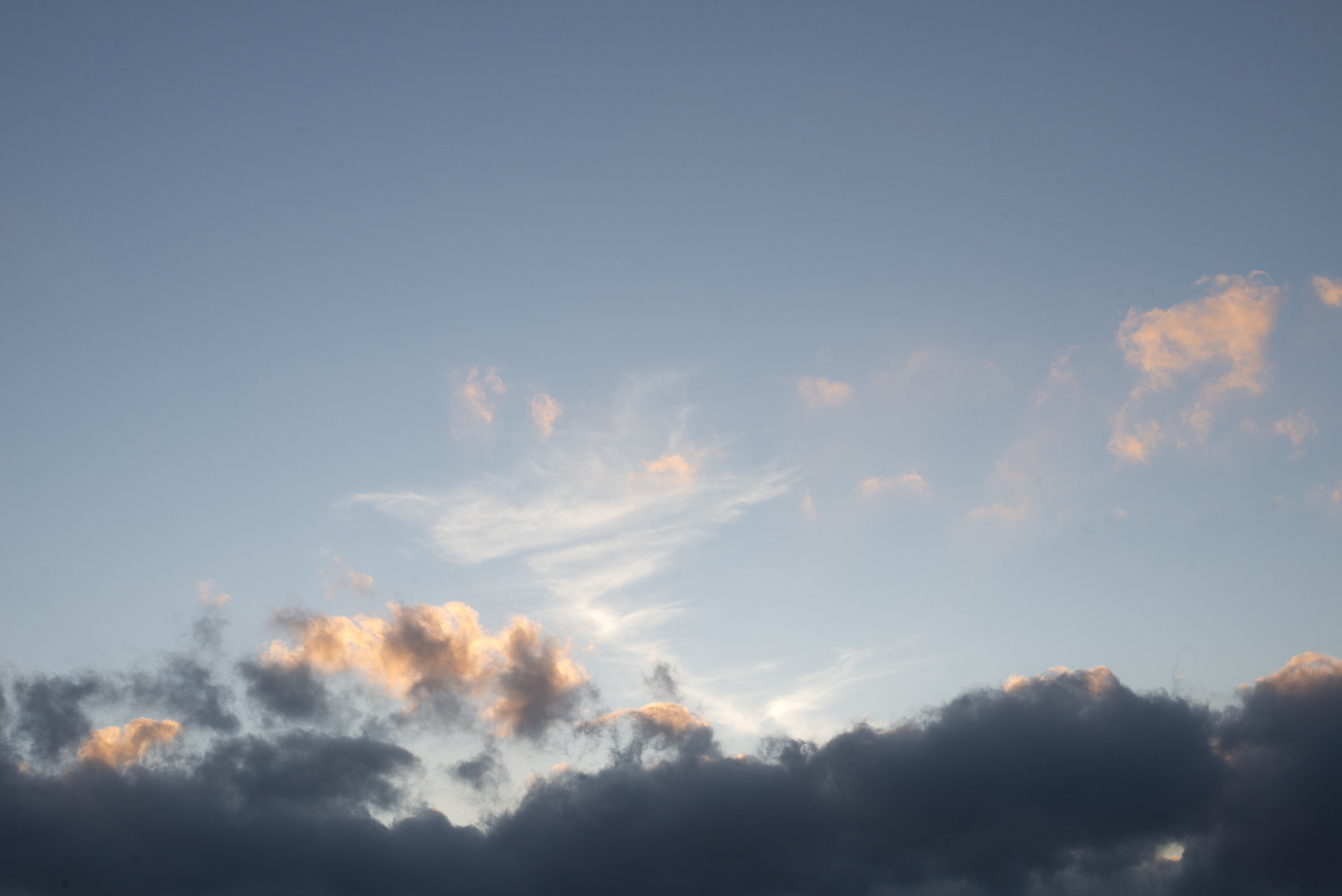 Nikon D800 + Nikon AF-S Nikkor 50mm F1.8G sample photo. Scilla burning sky photography