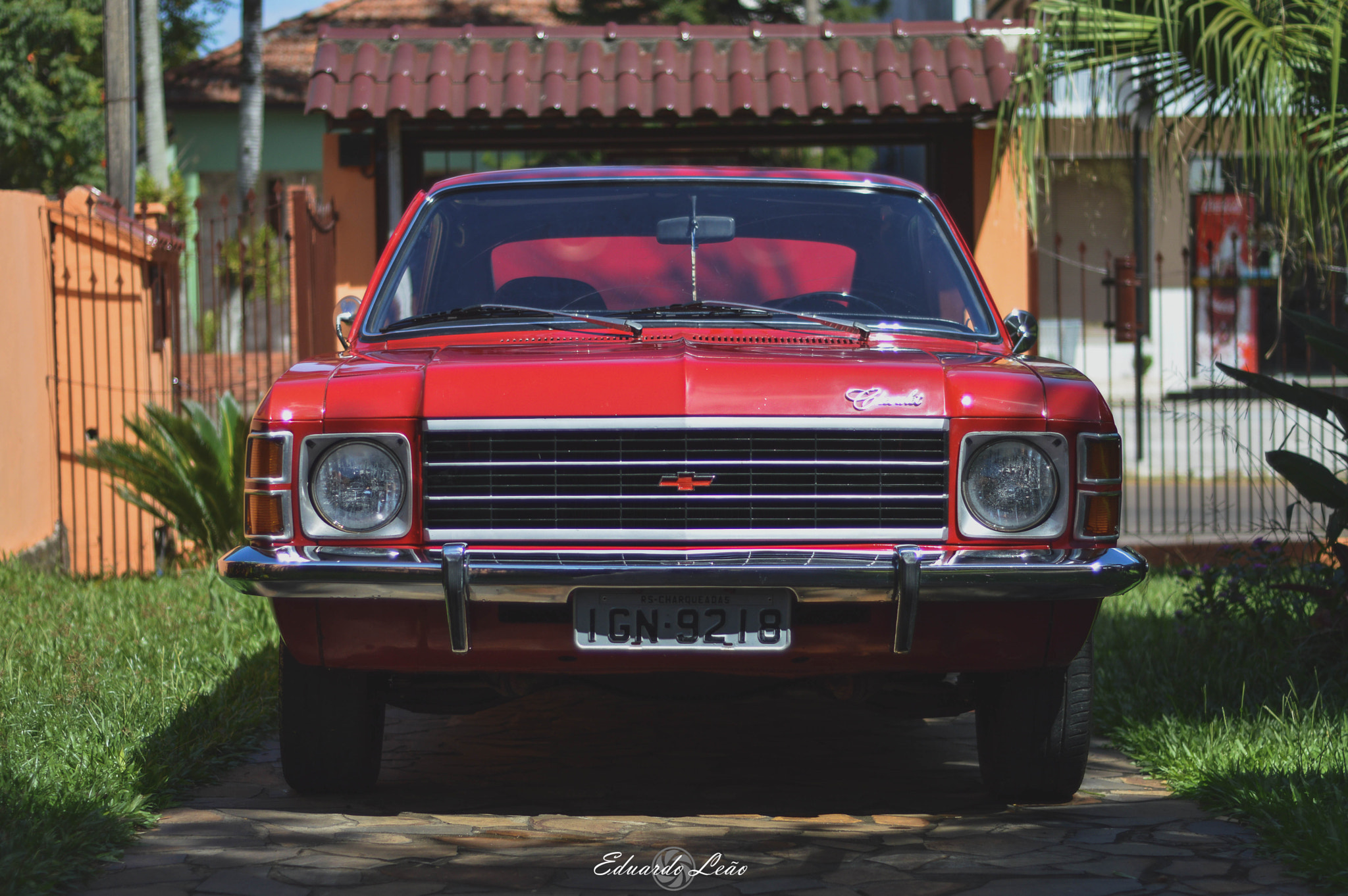 Nikon D3200 + Nikon AF Nikkor 50mm F1.8D sample photo. Opala photography