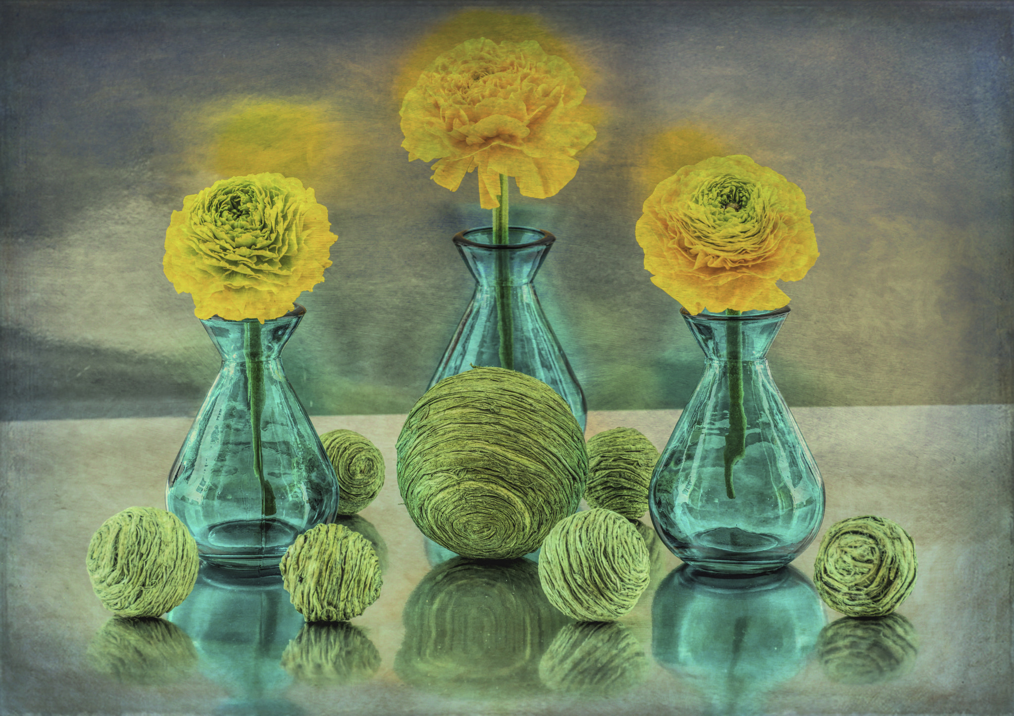 Nikon D810 sample photo. Ranunculus triplet photography