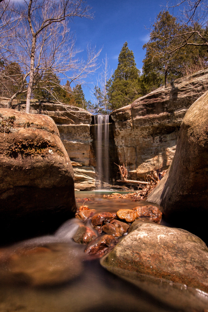 Canon EOS 40D + Sigma 10-20mm F4-5.6 EX DC HSM sample photo. Fall for illinois photography