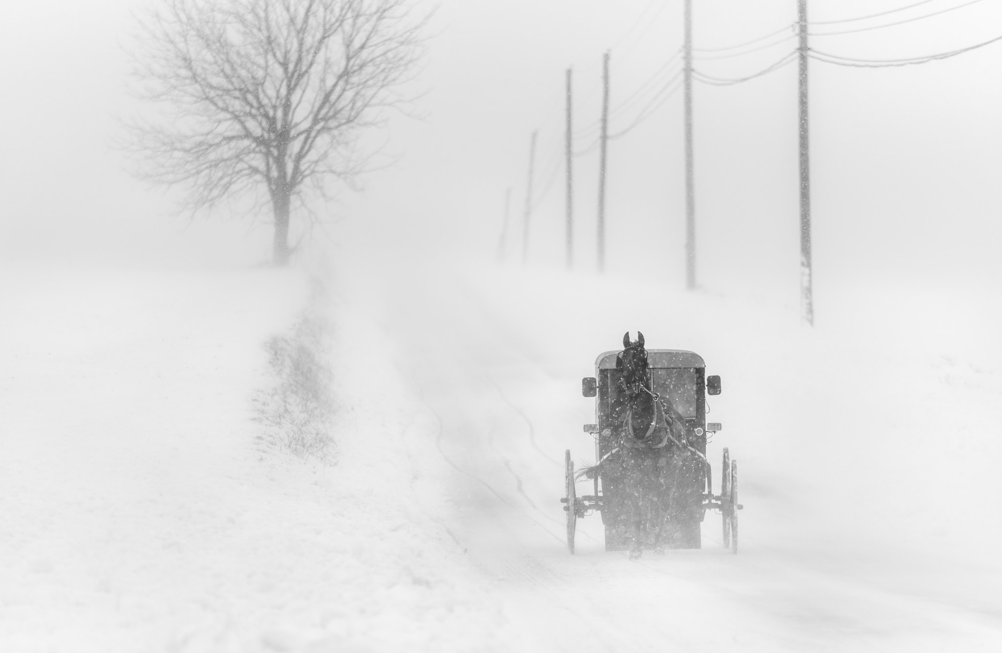 Nikon D750 sample photo. Amish buggy in a blizzard photography
