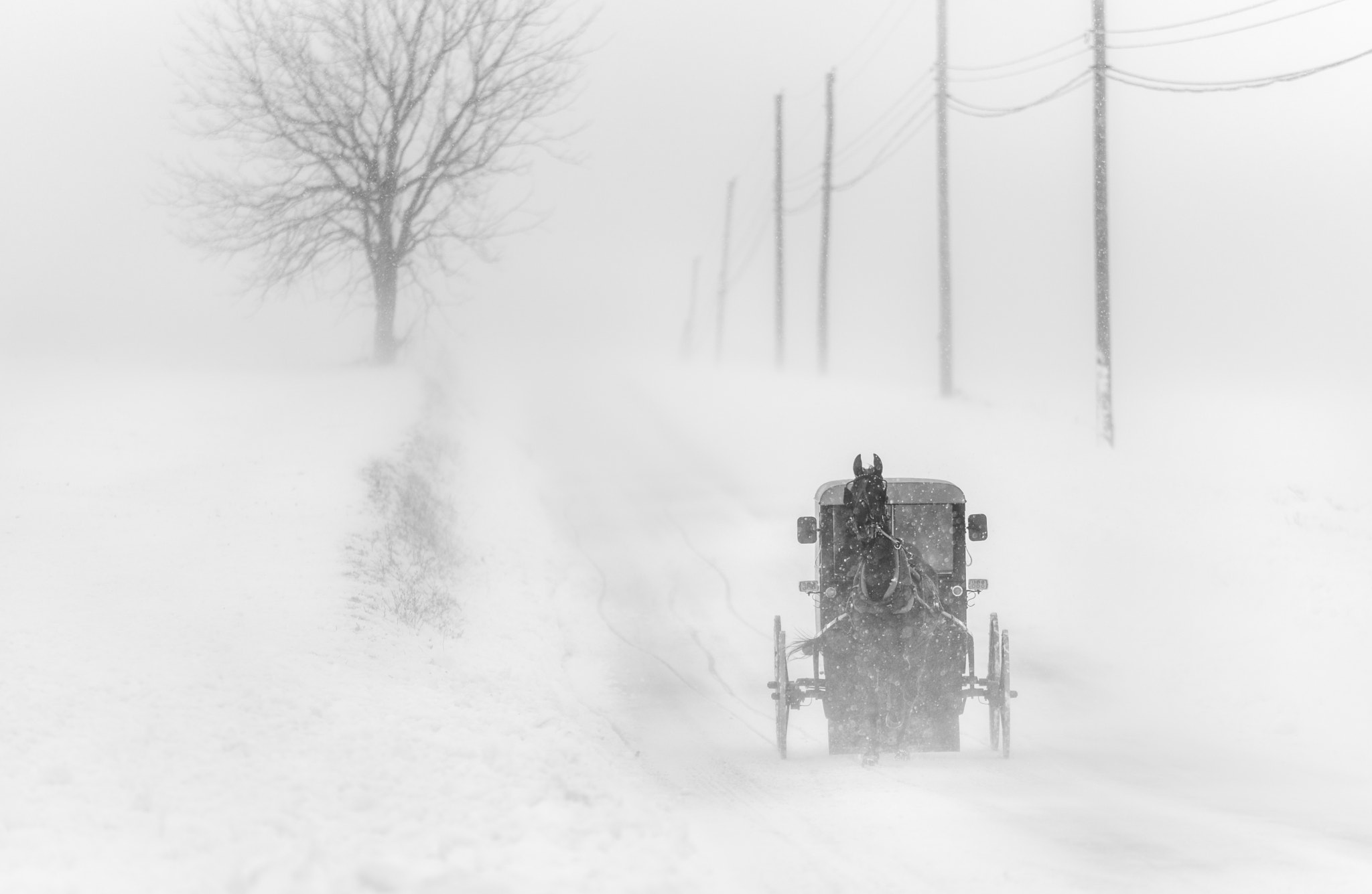 Tamron SP 70-200mm F2.8 Di VC USD sample photo. Amish buggy in a blizzard photography
