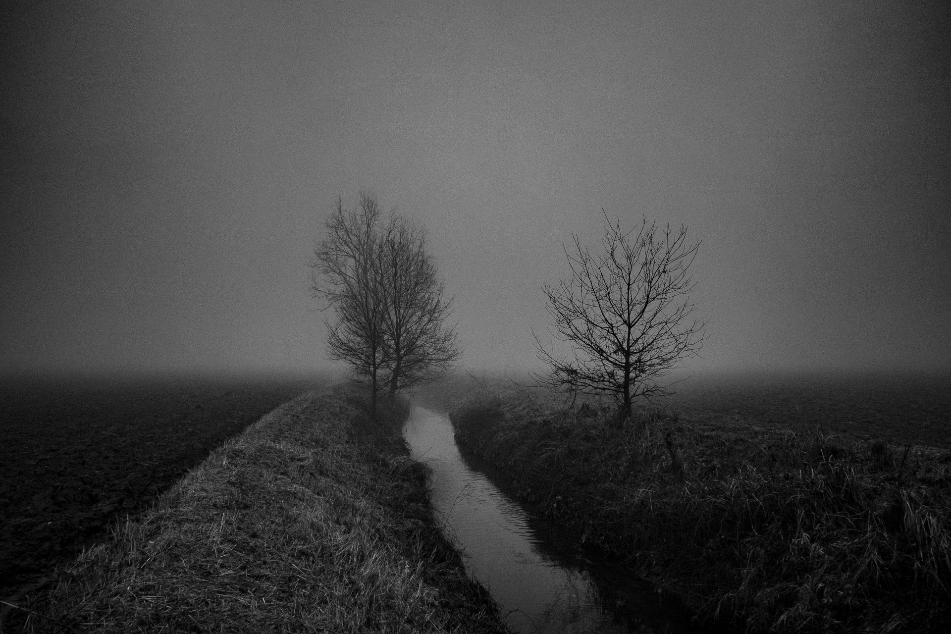 Olympus OM-D E-M5 sample photo. The secret world ... photography