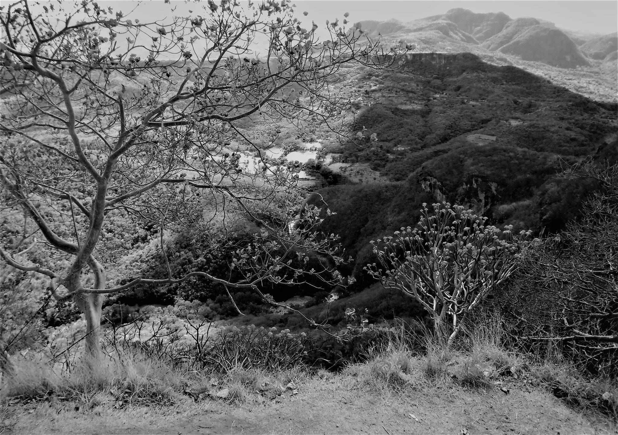 Fujifilm FinePix XP90 XP91 XP95 sample photo. El mirador mexico photography