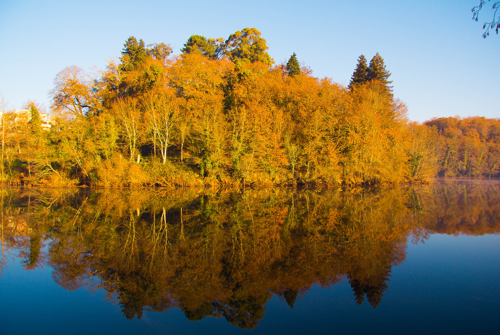 Canon EOS 60D + Canon EF-S 17-85mm F4-5.6 IS USM sample photo. Reflection photography