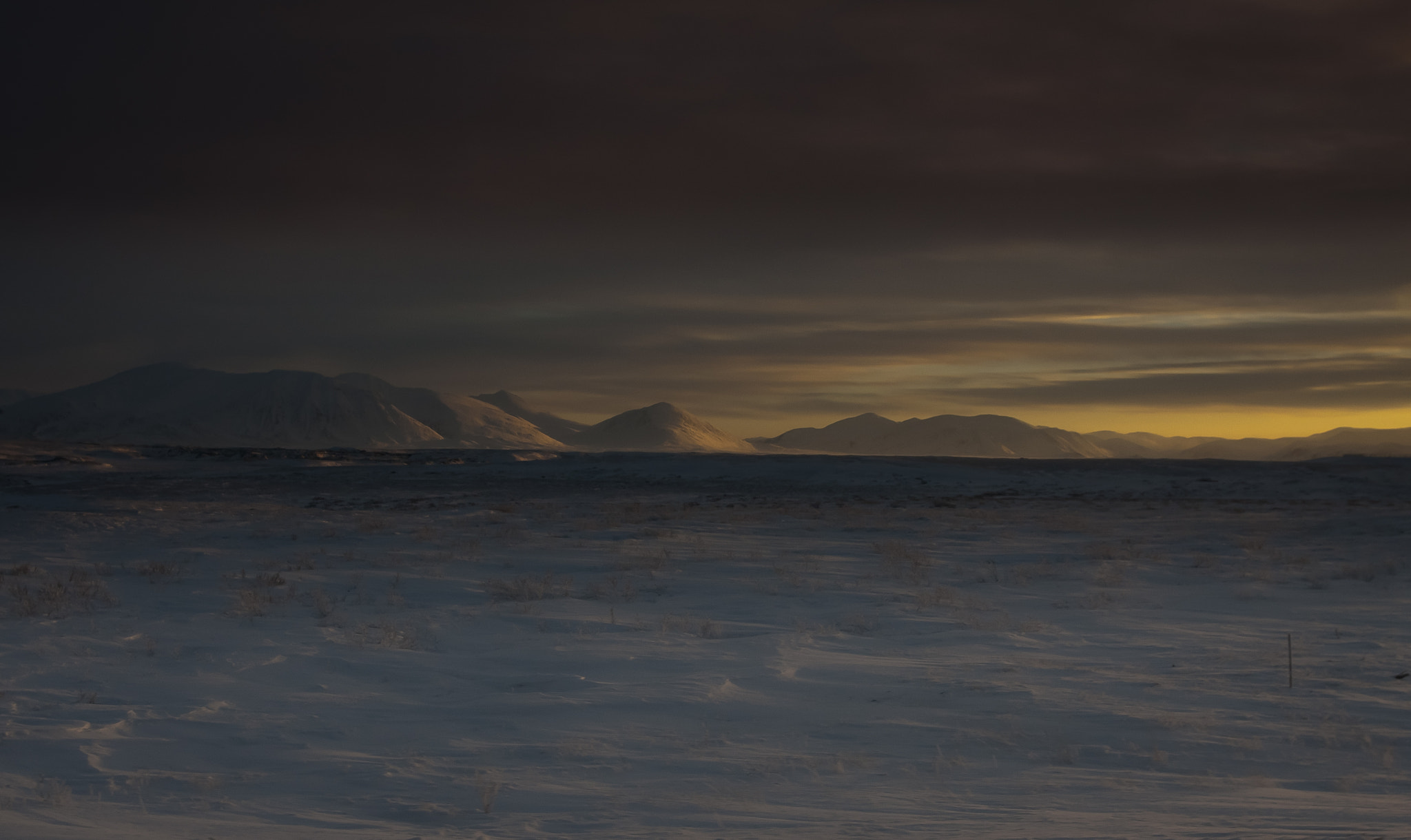 Canon EOS 40D sample photo. Tundra on polar ural photography