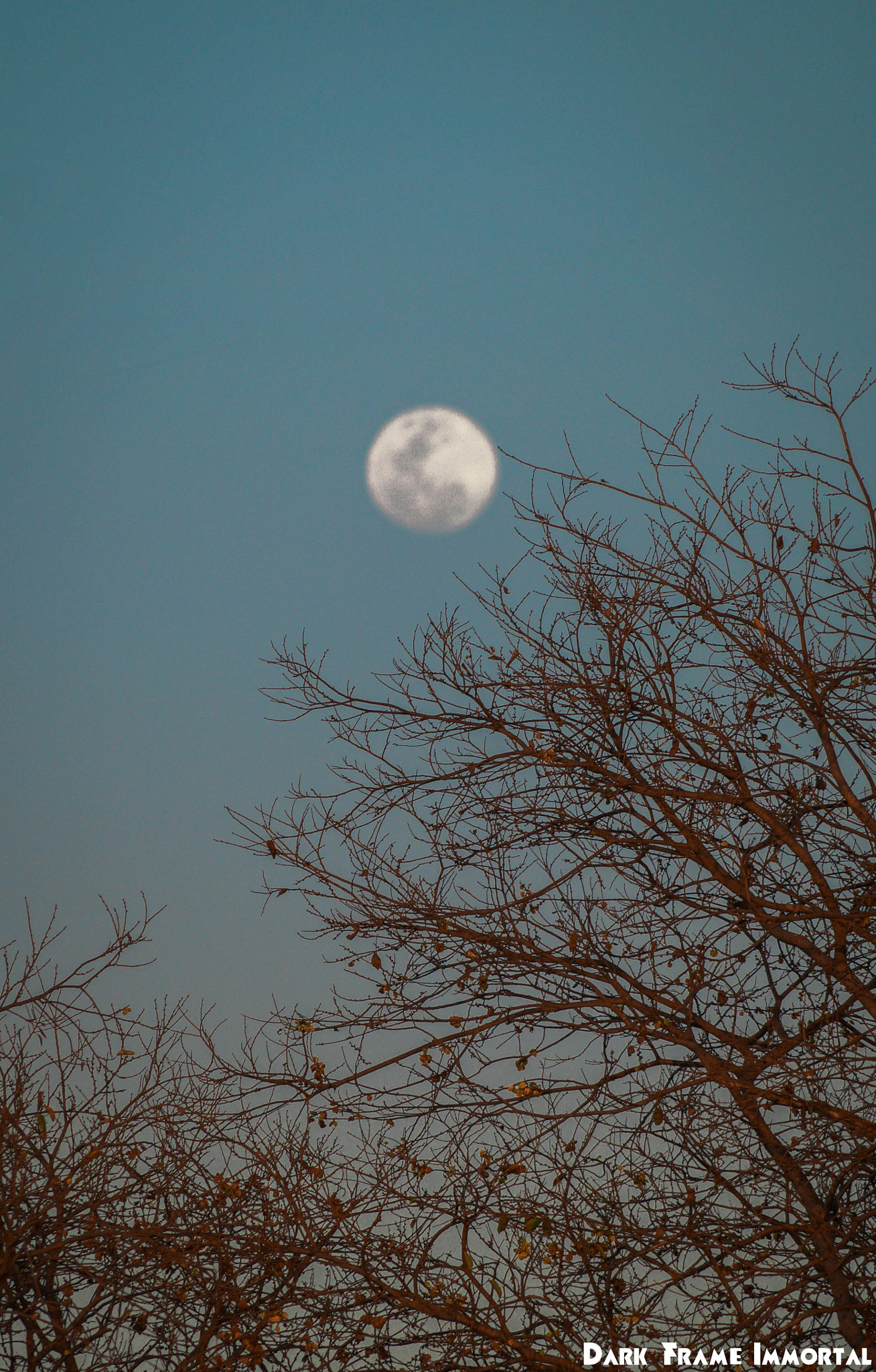Sony SLT-A58 + Sony DT 55-200mm F4-5.6 SAM sample photo. Good evening  photography