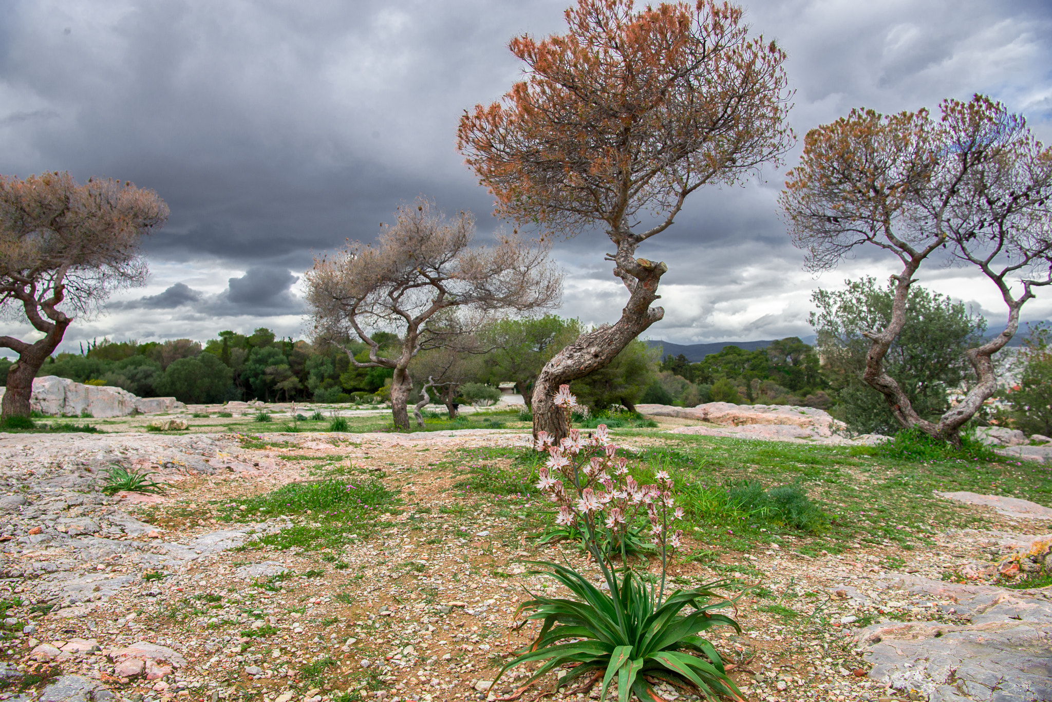 Nikon AF-S Nikkor 24-70mm F2.8E ED VR sample photo. Pnyx, athens, greece photography