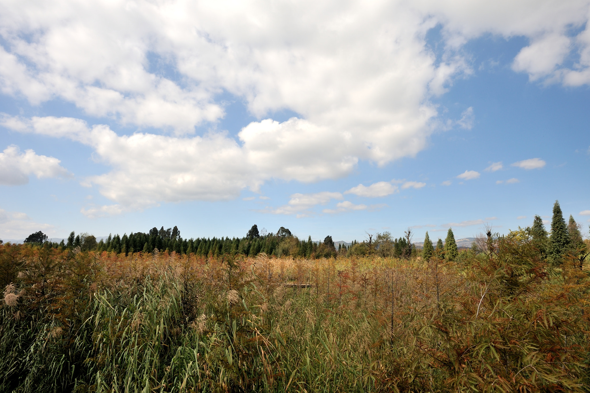 Nikon AF-S Nikkor 17-35mm F2.8D ED-IF sample photo. Dian lake photography