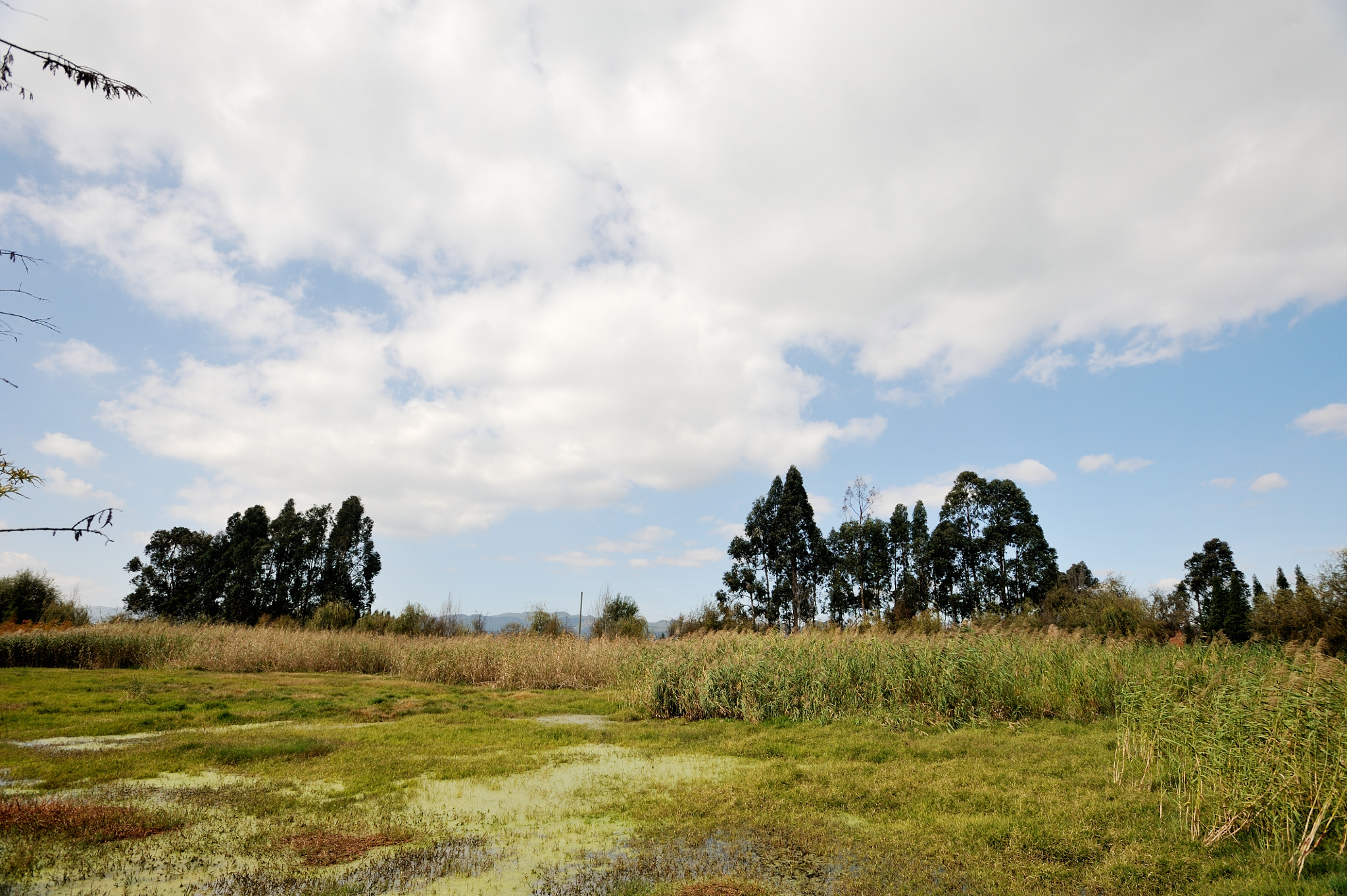 Nikon AF-S Nikkor 17-35mm F2.8D ED-IF sample photo. Dian lake photography