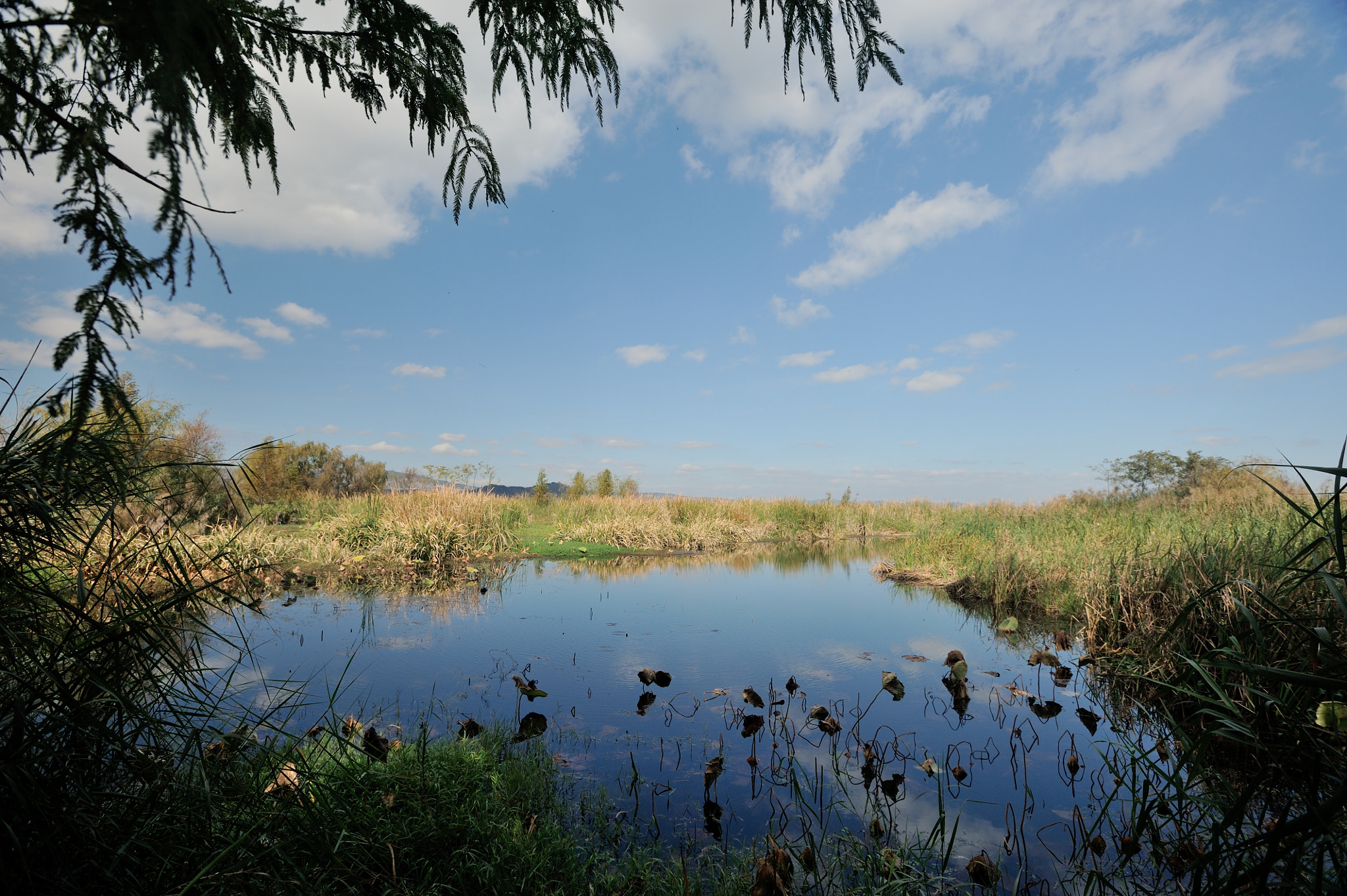 Nikon AF-S Nikkor 17-35mm F2.8D ED-IF sample photo. Dian lake photography