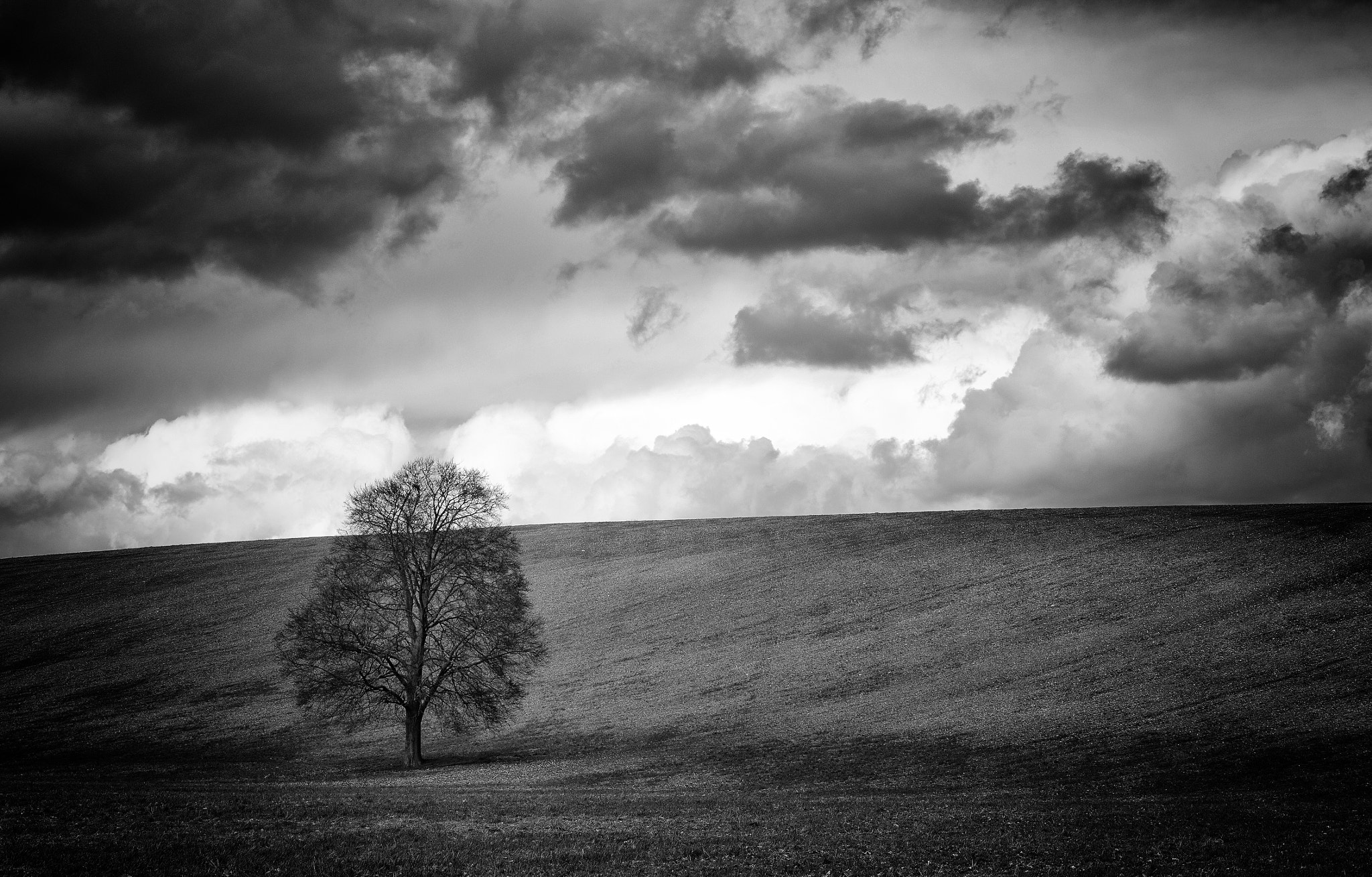 Leica X Vario sample photo. Have you ever seen the rain photography