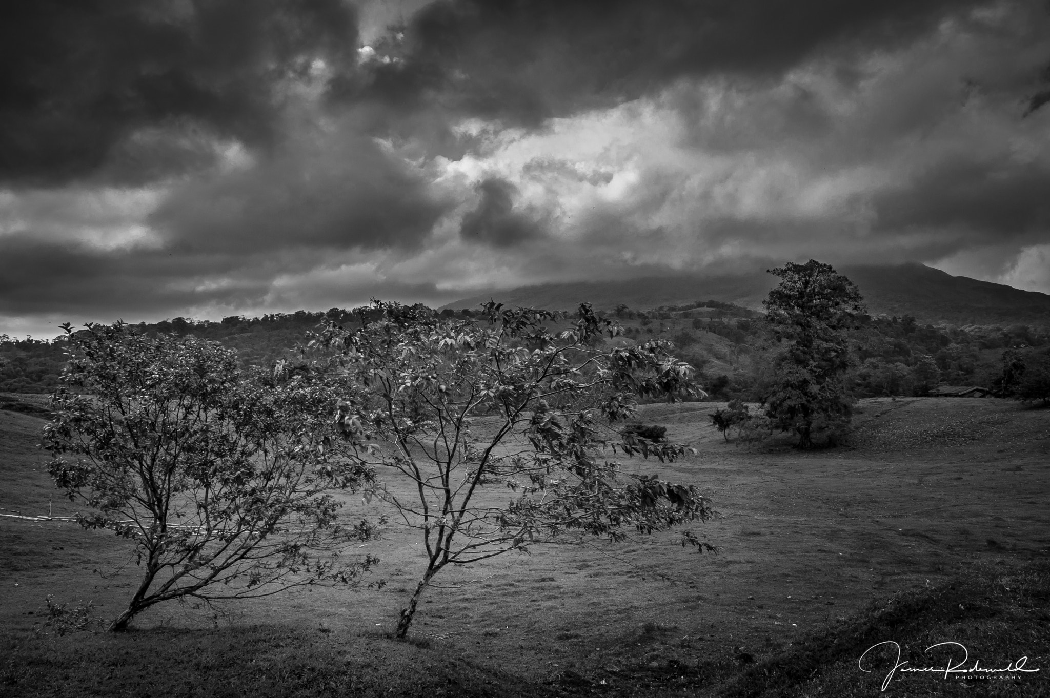 Nikon D3200 sample photo. Pasture by arenal photography