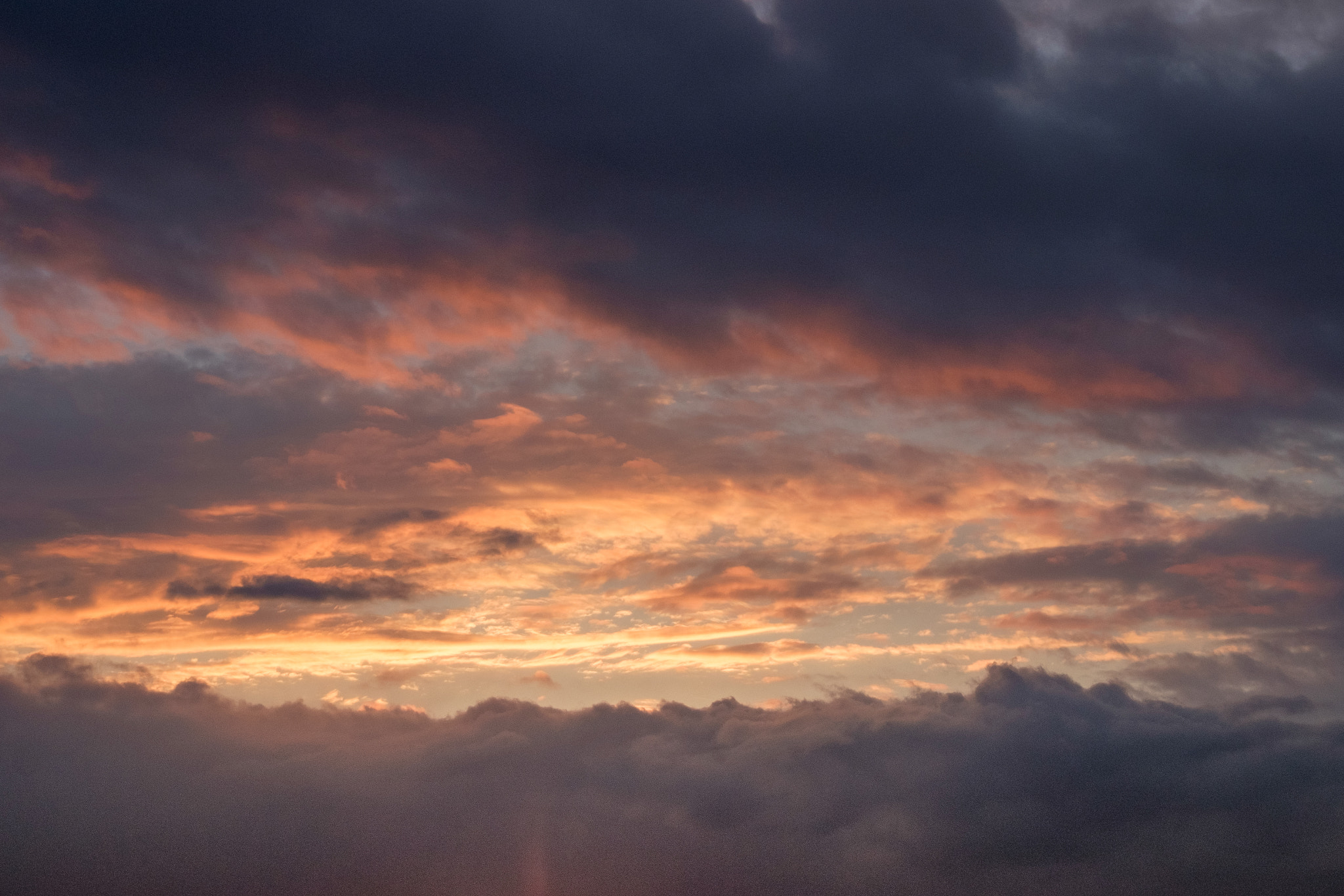 Fujifilm X-T10 + Fujifilm XC 50-230mm F4.5-6.7 OIS II sample photo. Learning to fly photography