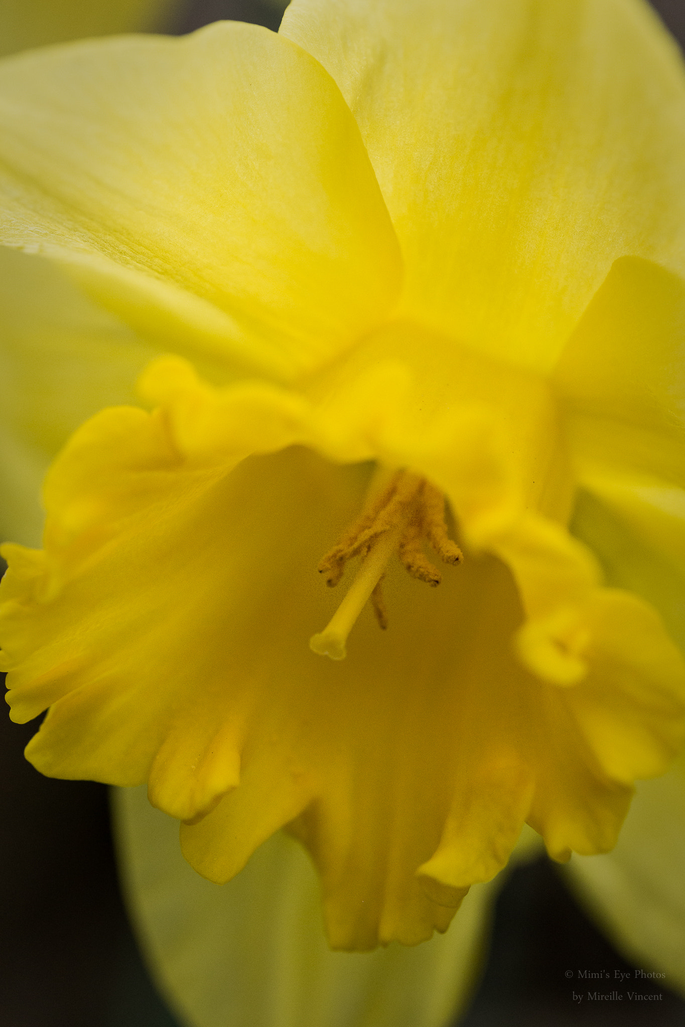 Canon EF 100mm F2.8 Macro USM sample photo. "inside" photography