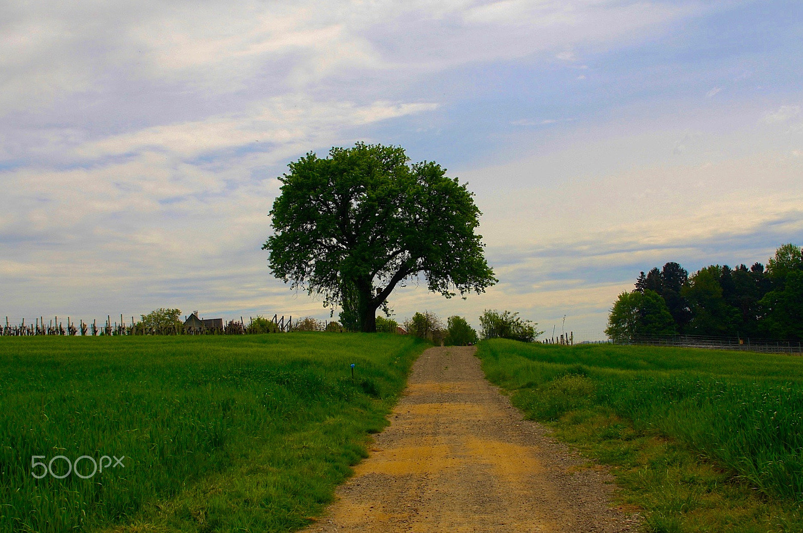Canon EOS 40D sample photo. Country road photography