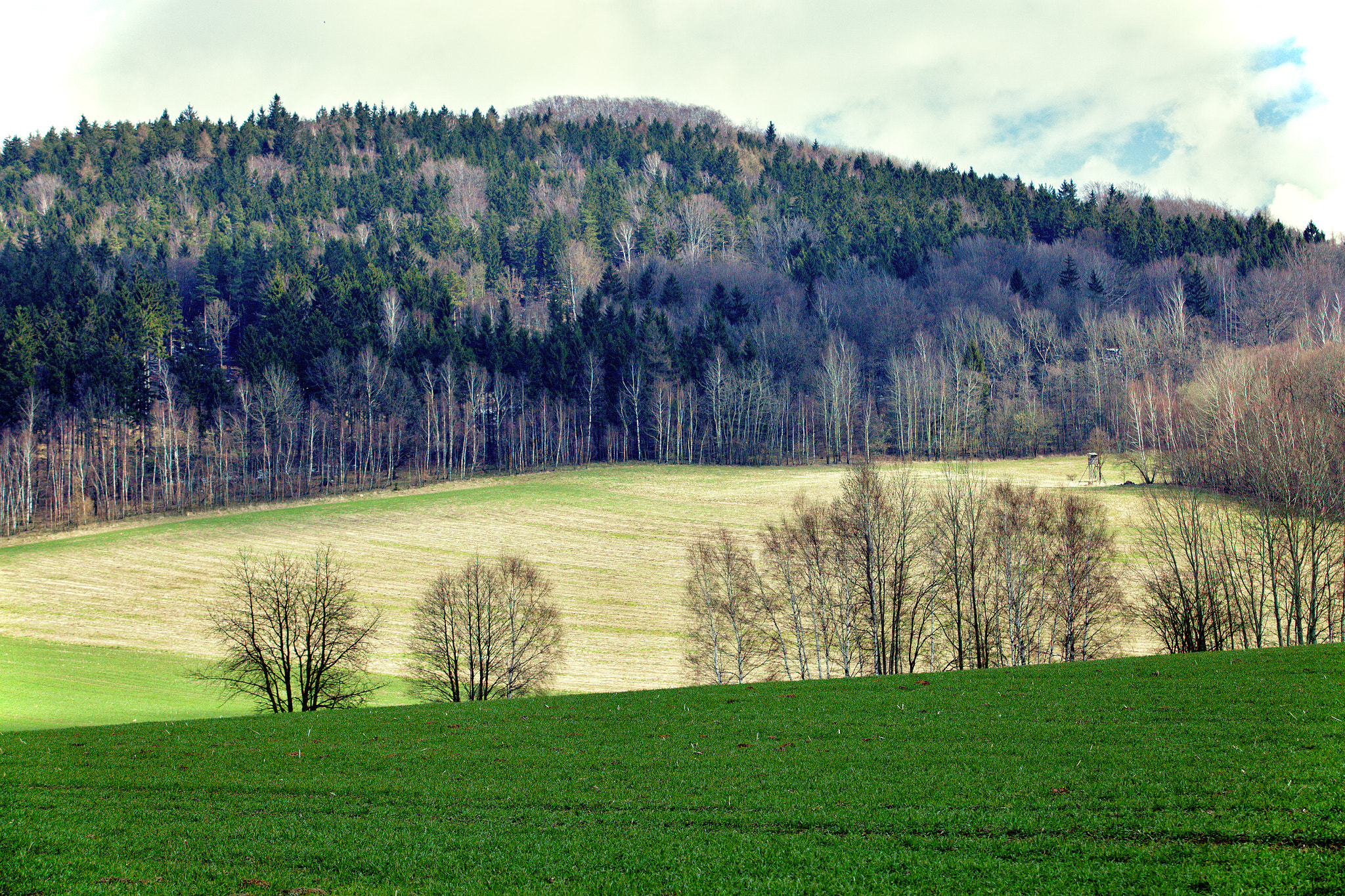 Canon EF 70-200mm F2.8L USM sample photo. Very early spring photography