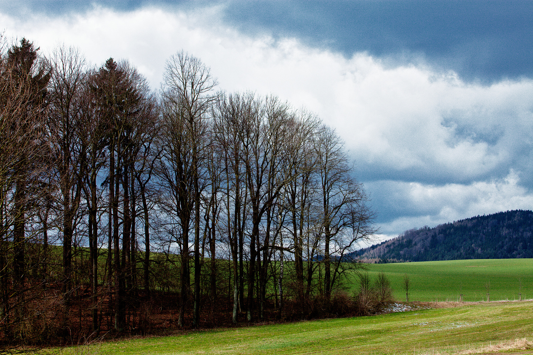 Canon EF 70-200mm F2.8L USM sample photo. Early spring capricious weather photography