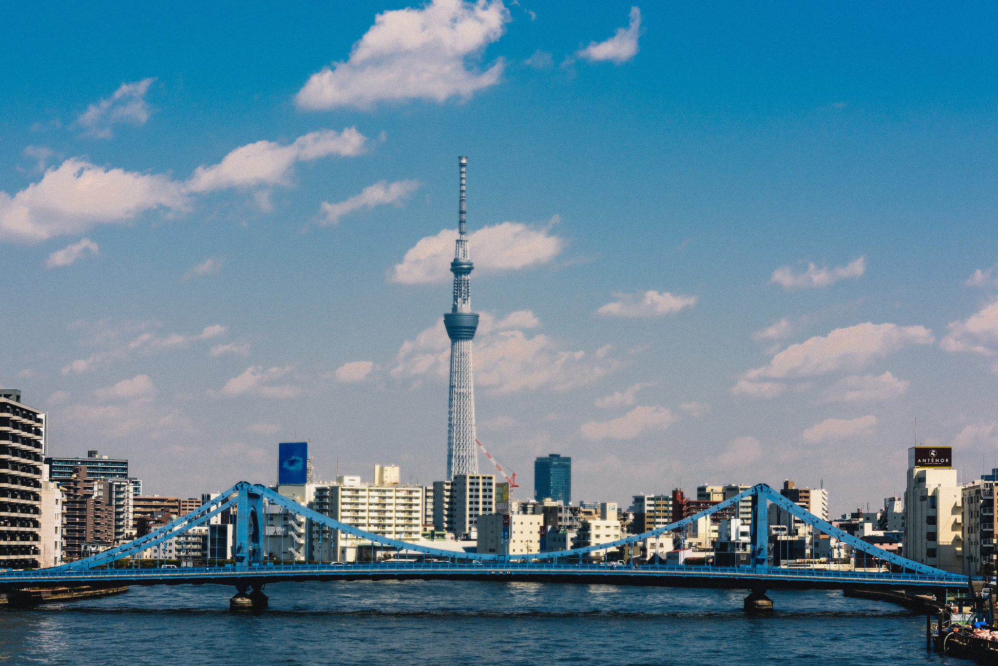 Nikon D810 sample photo. Tokyo sky tree photography