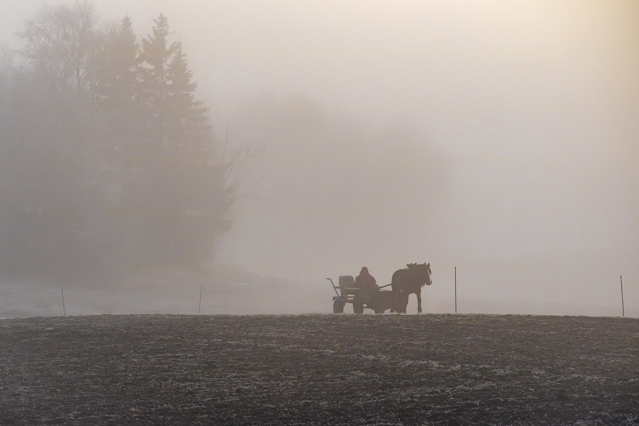 Canon EOS M3 sample photo. Through the fog photography
