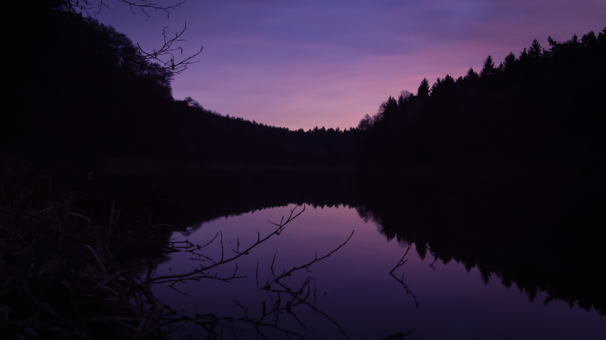 Panasonic Lumix DMC-G1 sample photo. Awakening of the forest photography
