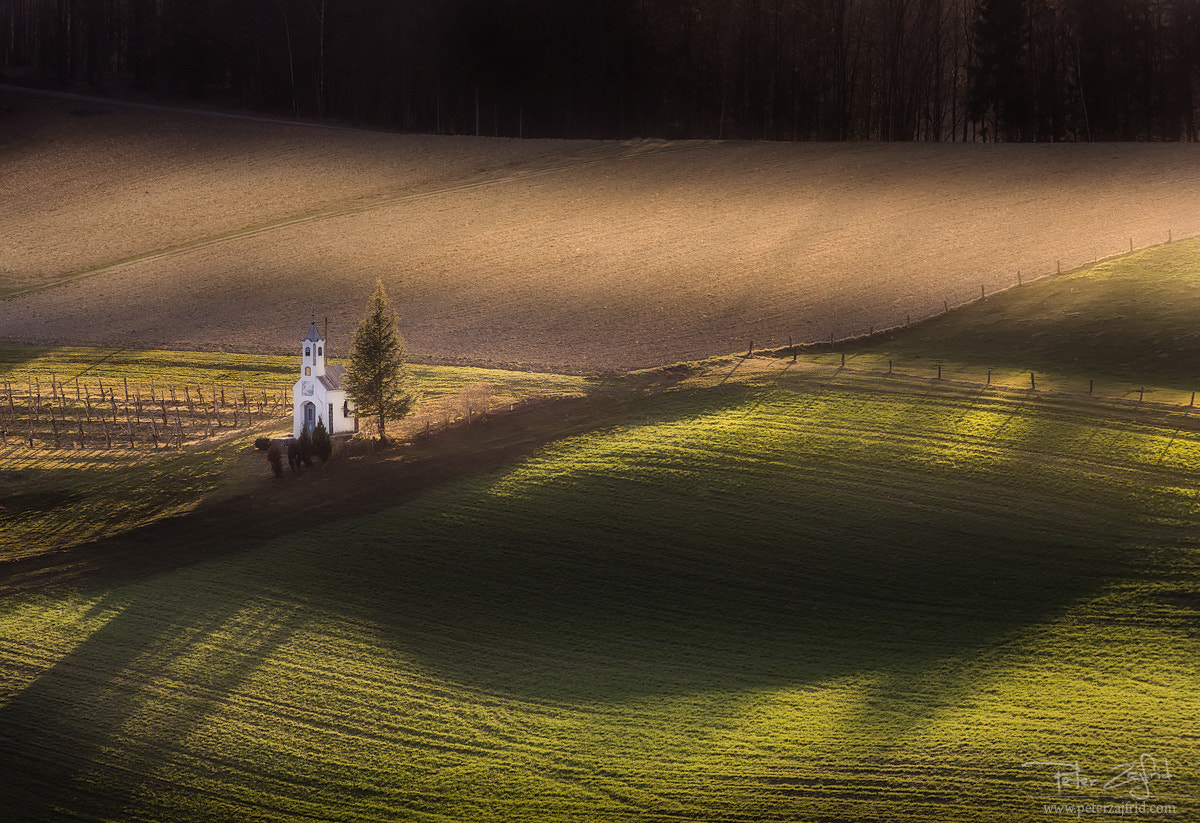 Nikon D810 sample photo. Chapel on the field photography