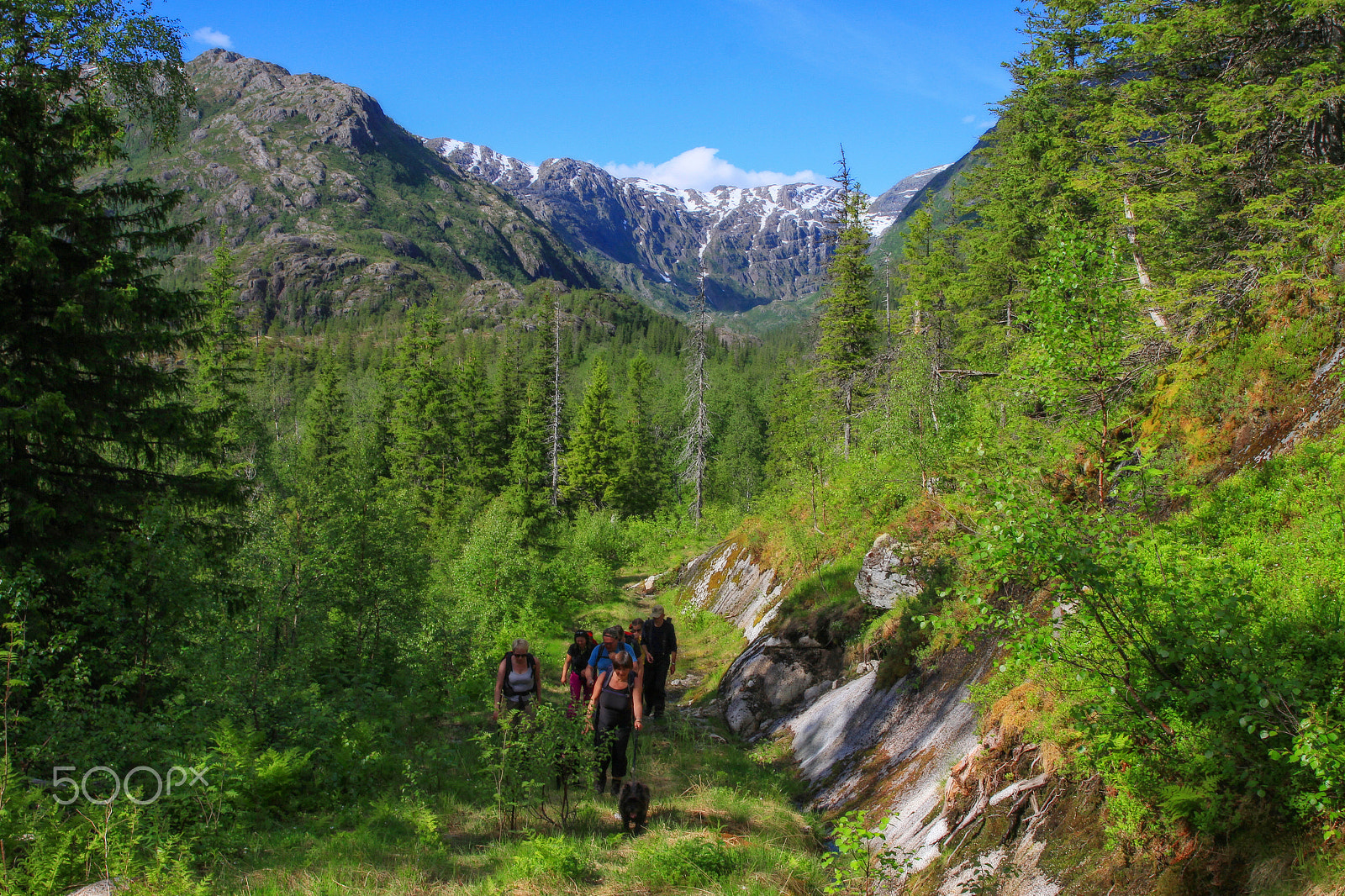Canon EF 24-70mm F2.8L II USM sample photo. Mountain hike photography